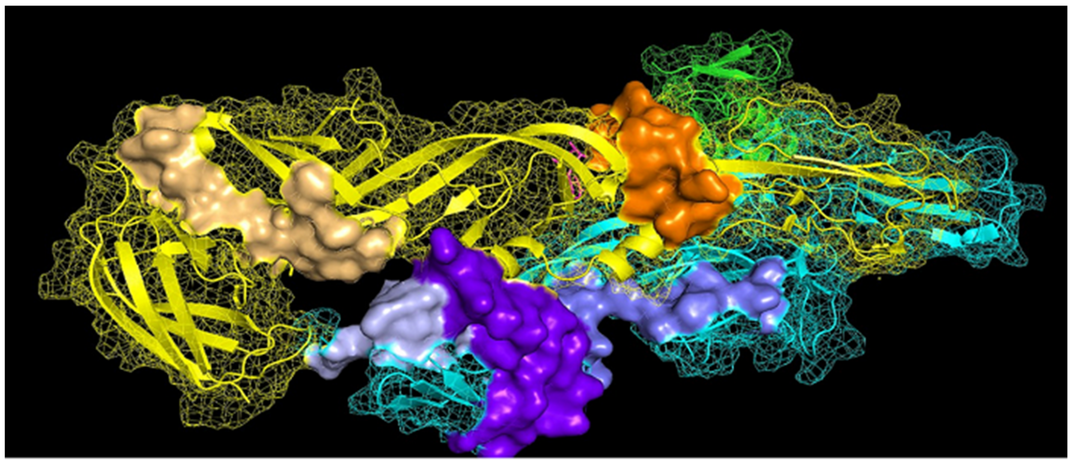 Viruses 13 02360 g001