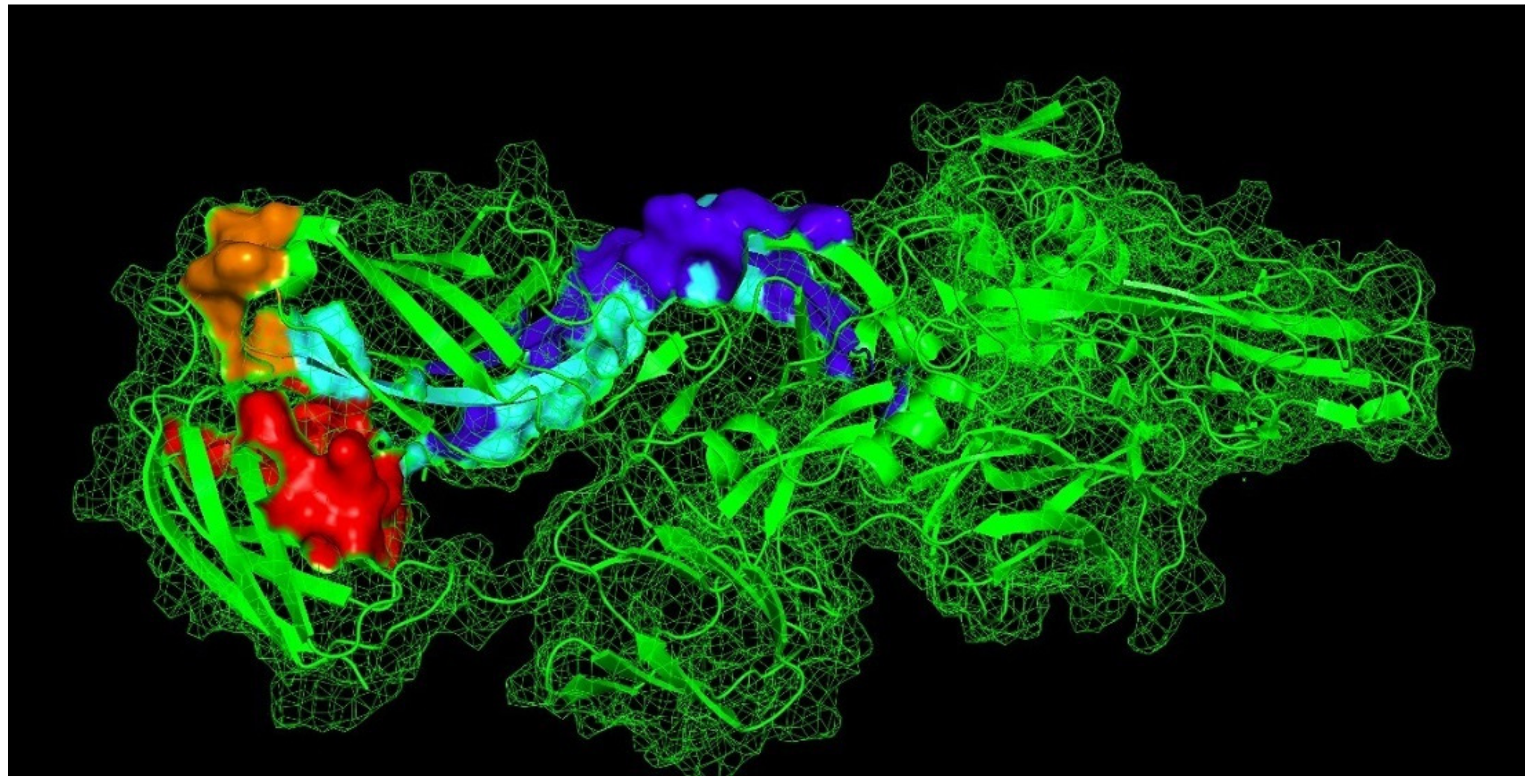 Viruses 13 02360 g002