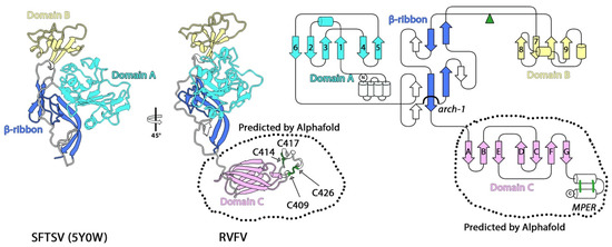 Jurgen Nefzger: Fluffy Clouds ユルゲン・ネフツガー Jurgen Nefzger: Fluffy Clouds - Ulrich, Pohlmann