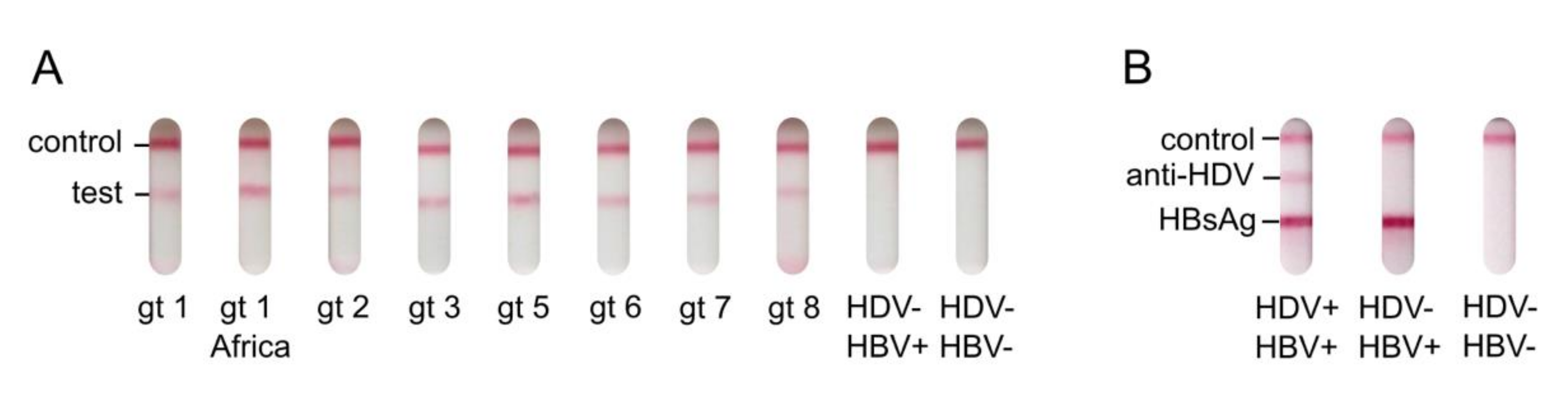 Viruses 13 02371 g004