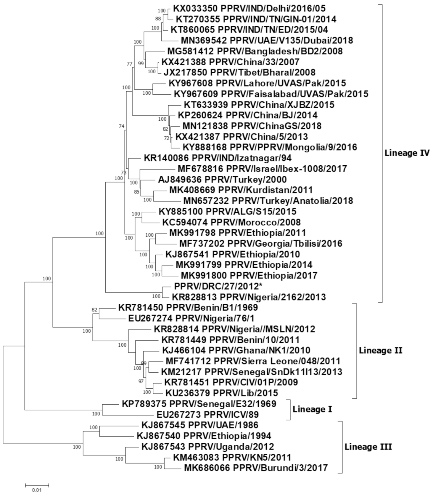 Viruses 13 02373 g003 Viruses 13 02373 g003