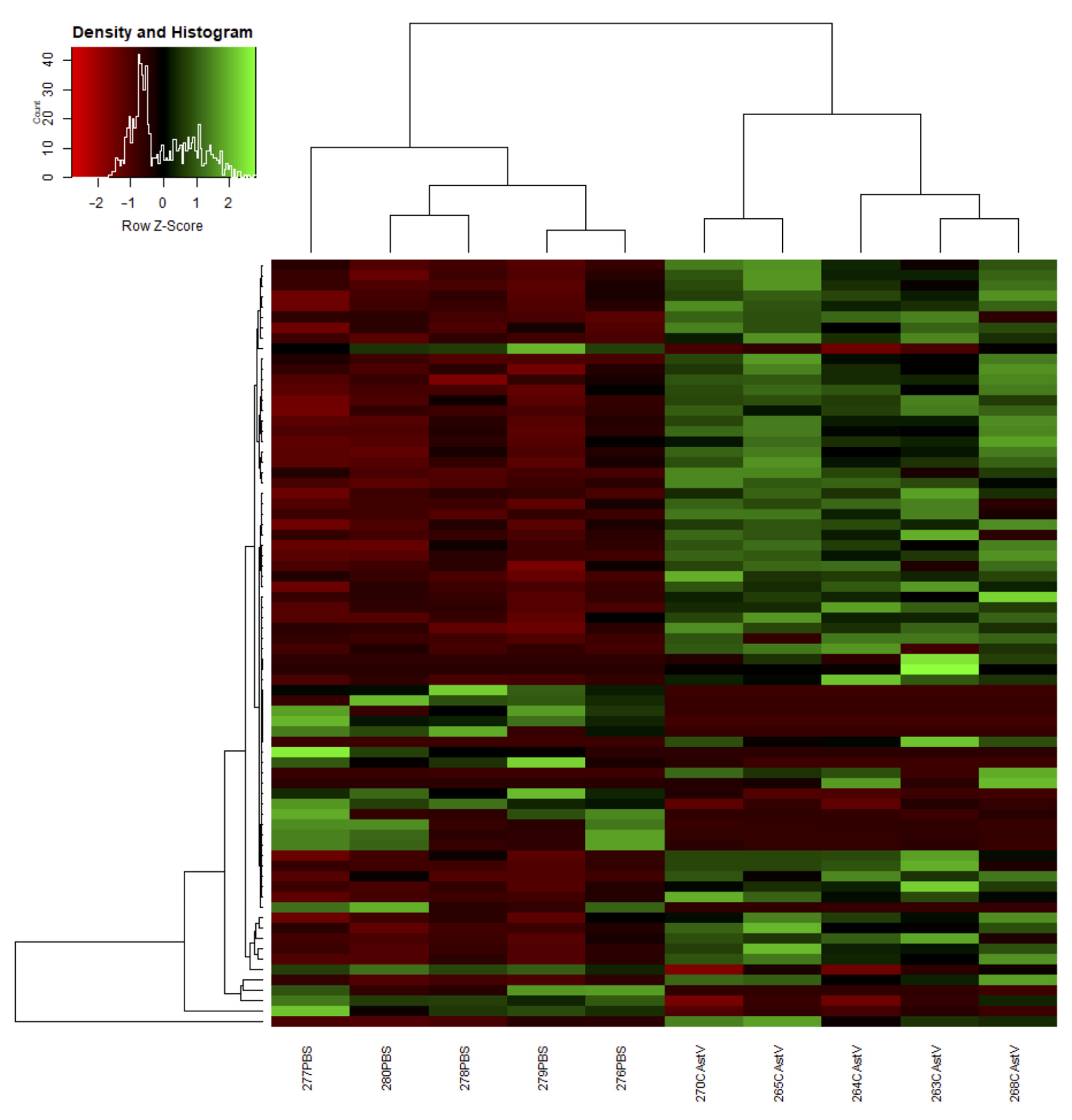 Viruses 13 02374 g001 Viruses 13 02374 g001