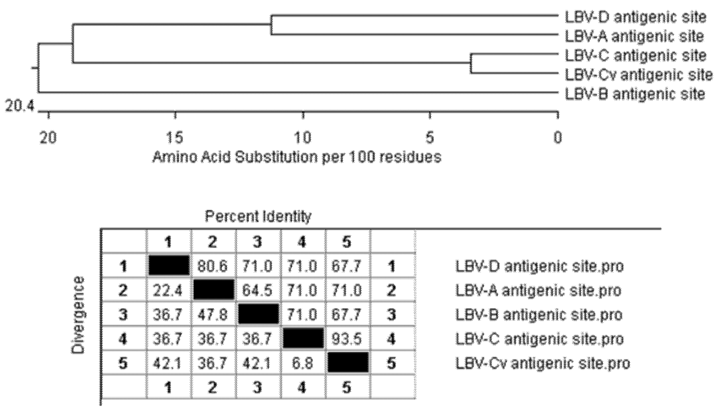 Viruses 13 02378 g004
