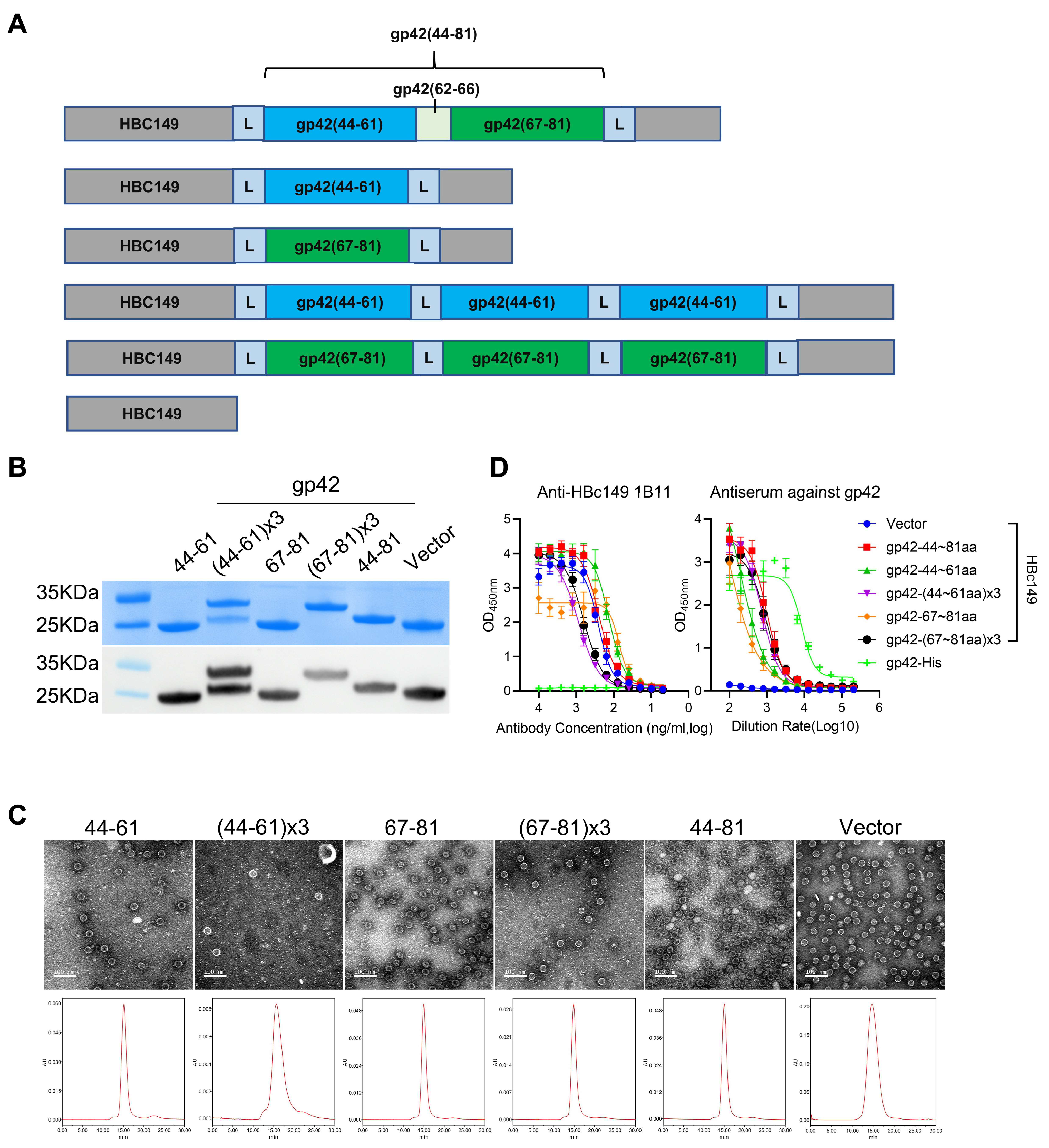Viruses 13 02380 g005