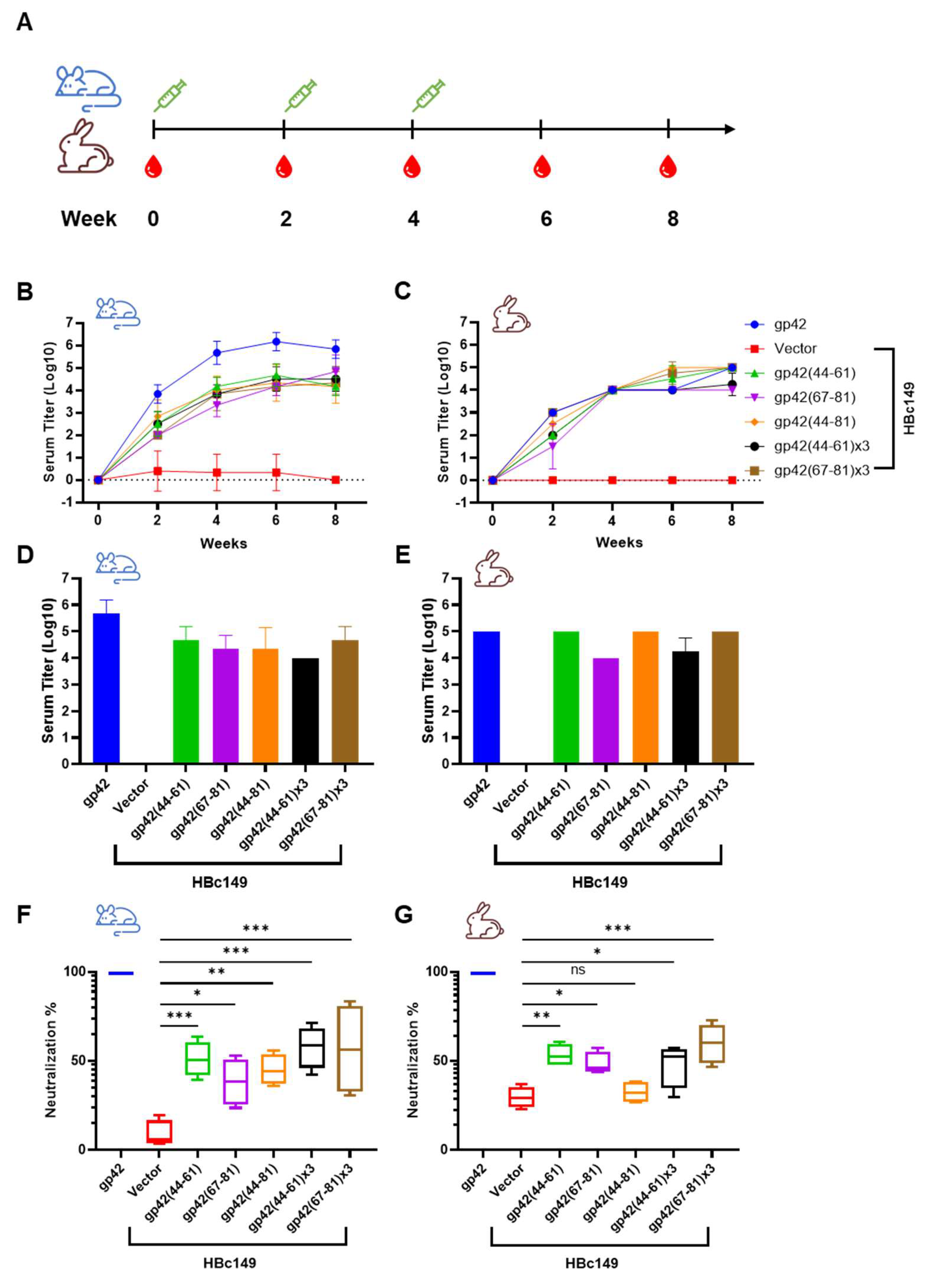 Viruses 13 02380 g007