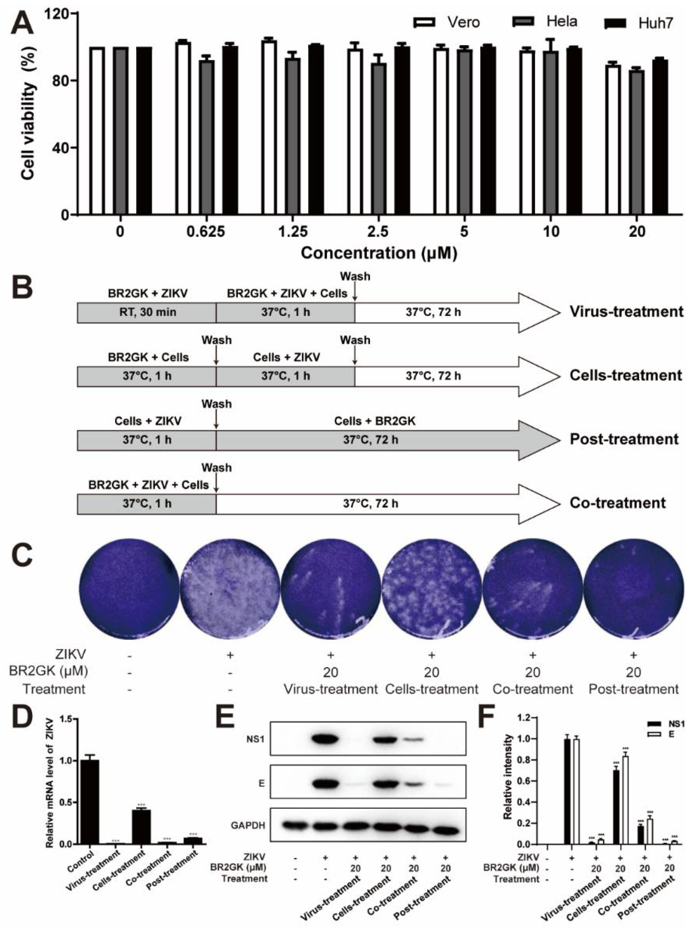 Viruses Free Full Text Brevinin 2ghk A Peptide Derived From The Skin Of Fejervarya Limnocharis Inhibits Zika Virus Infection By Disrupting Viral Integrity Html