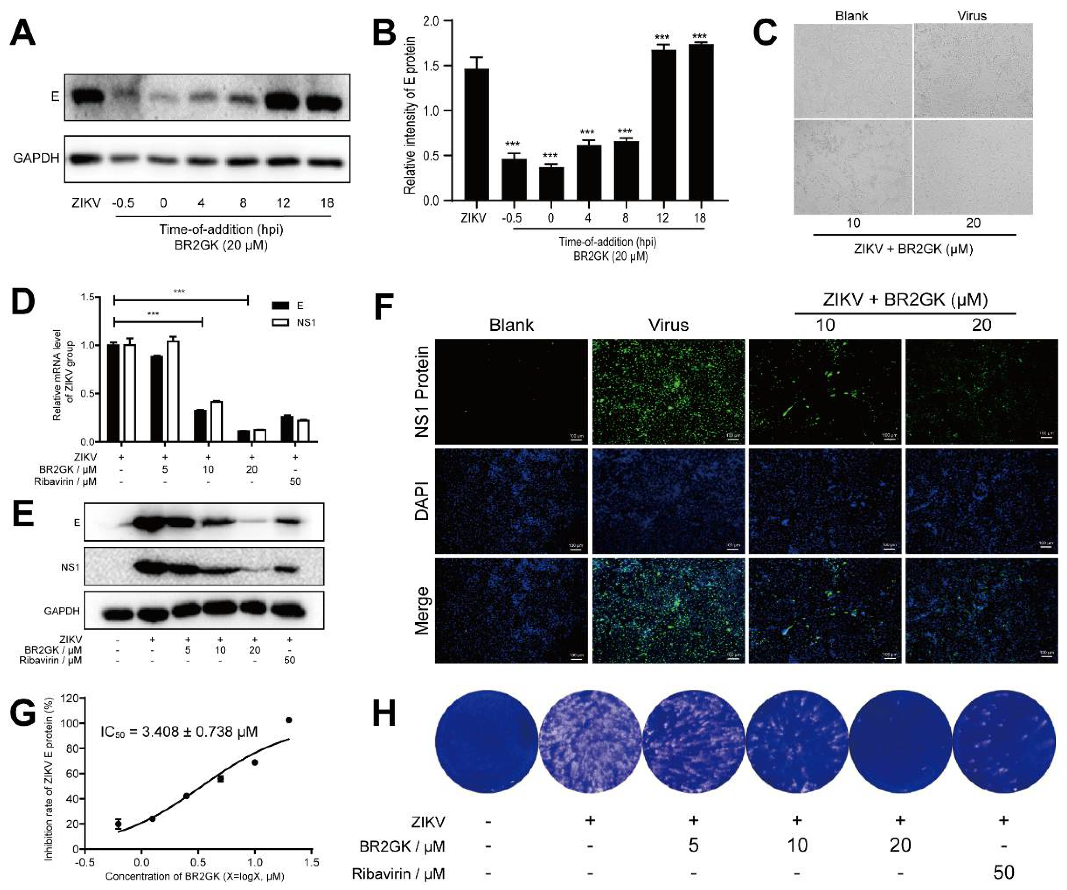 Viruses 13 02382 g002