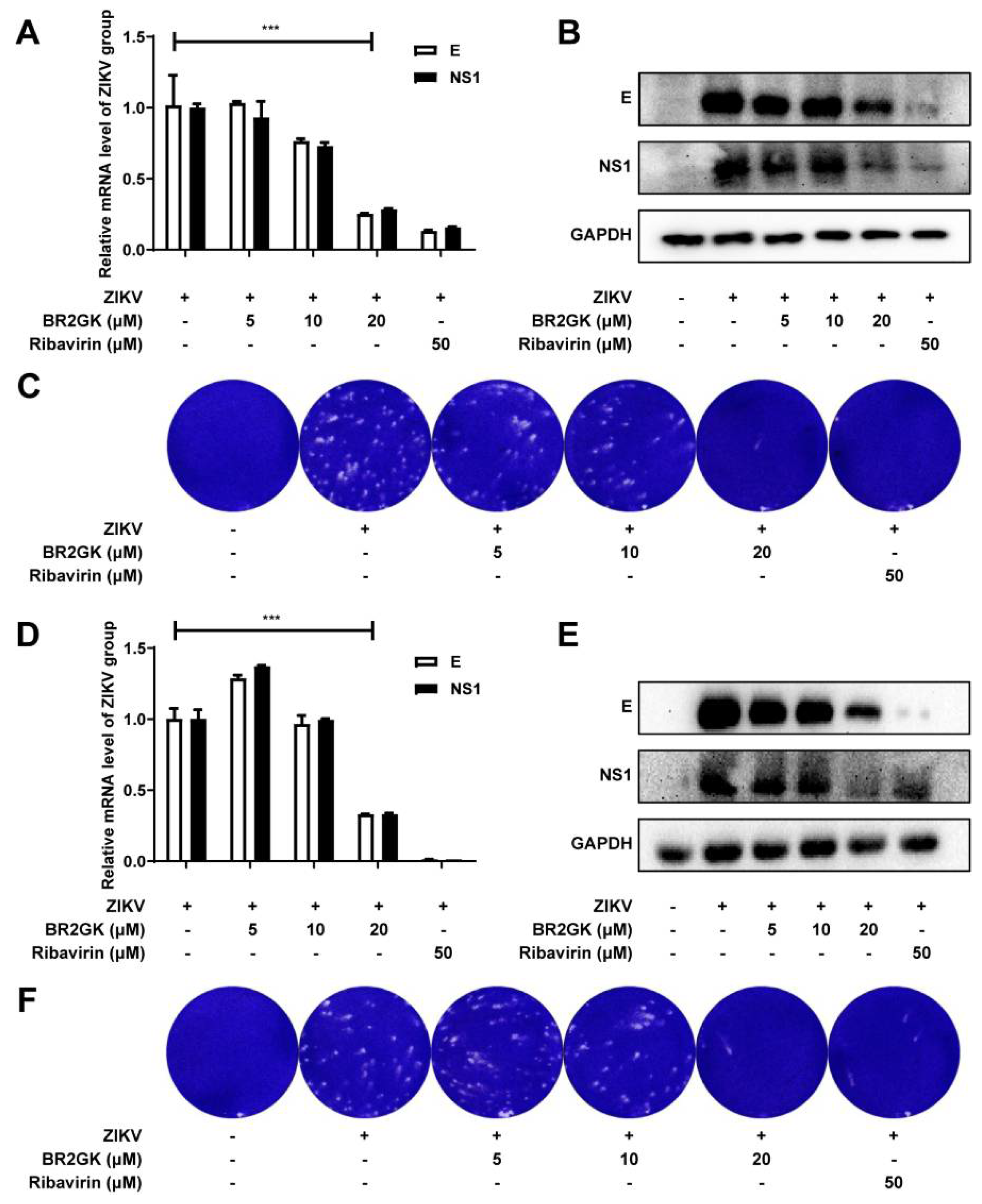 Viruses 13 02382 g005