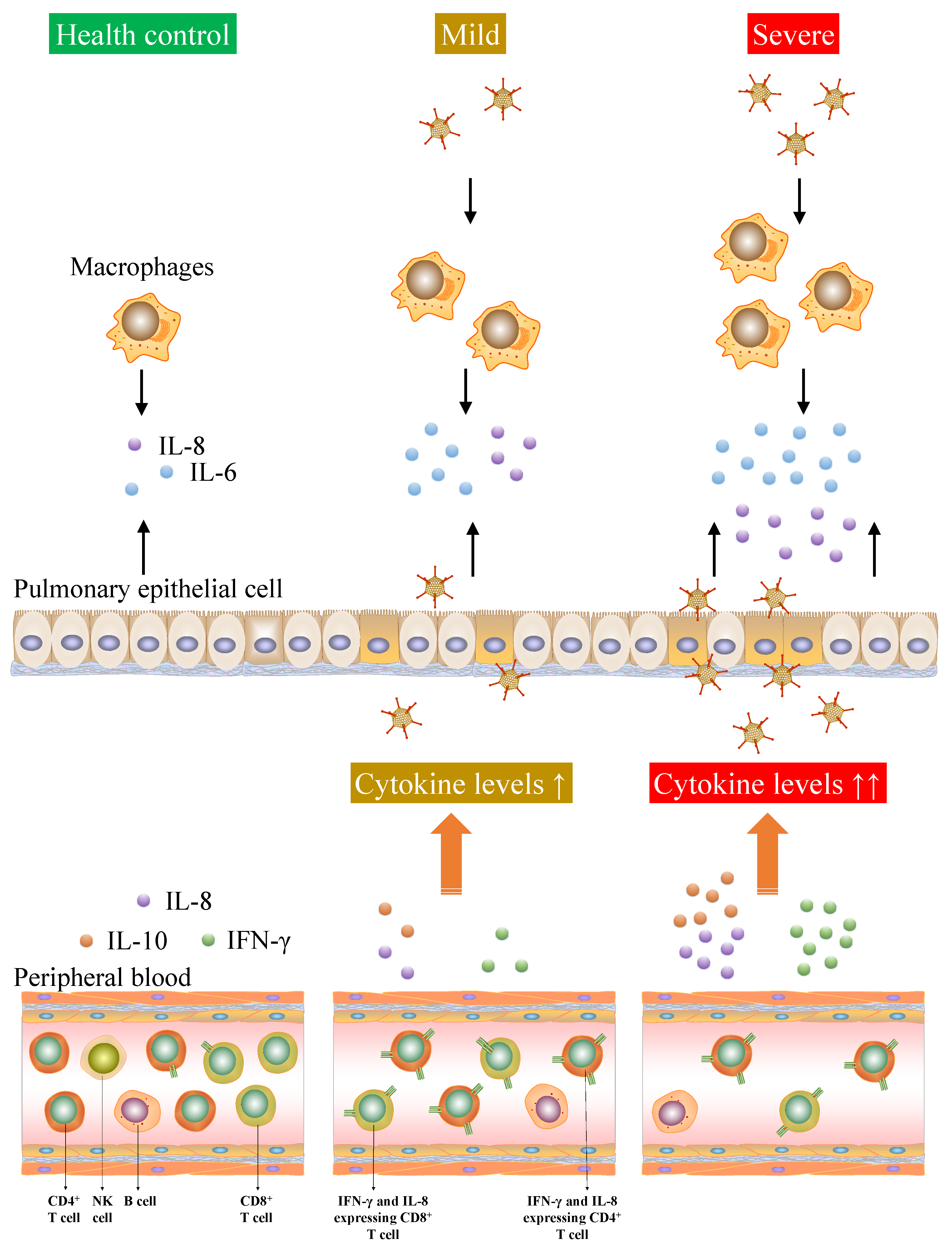 Viruses 13 02384 g009 Viruses 13 02384 g009