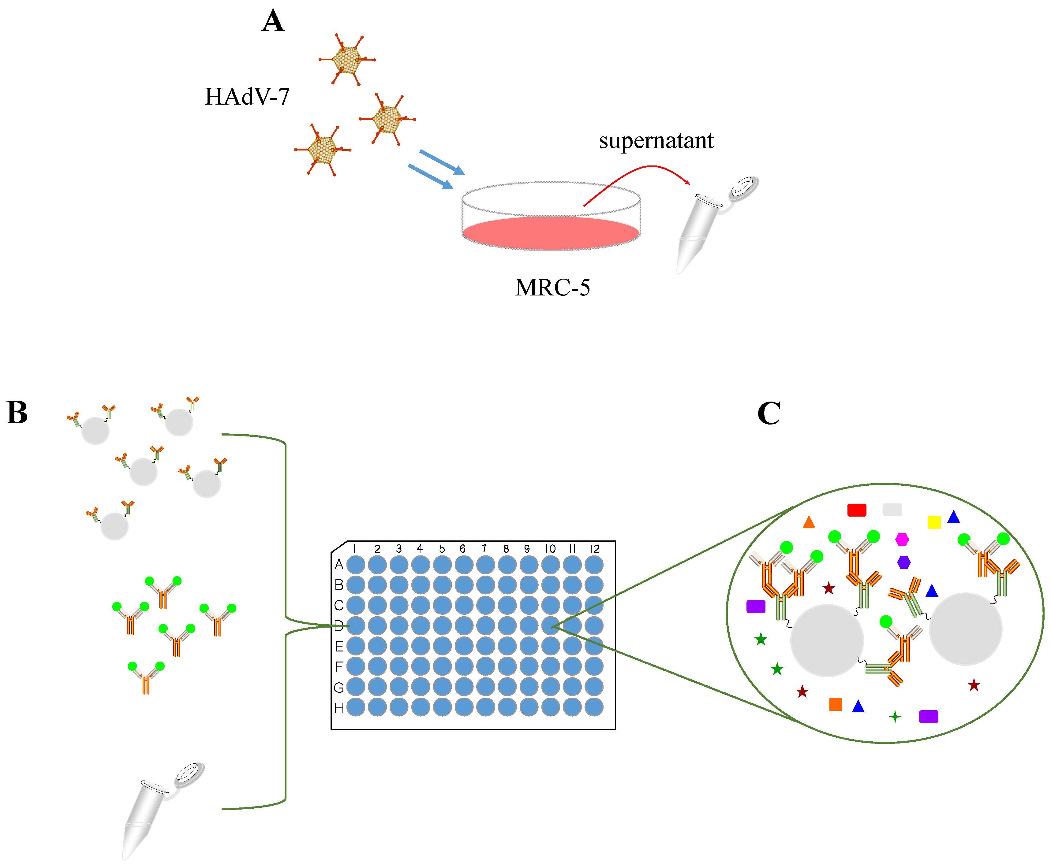 Viruses 13 02384 sch001 Viruses 13 02384 sch001