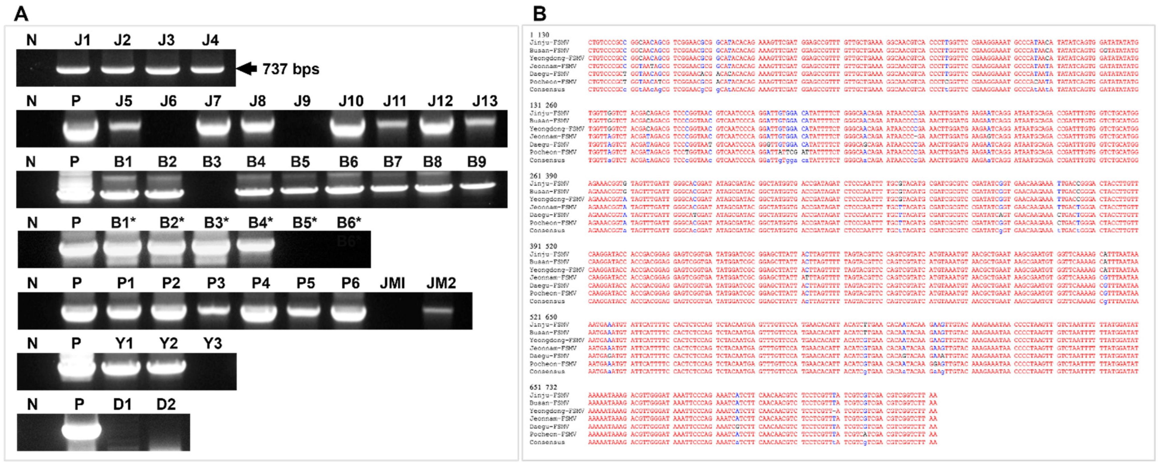 Viruses 13 02385 g002 Viruses 13 02385 g002