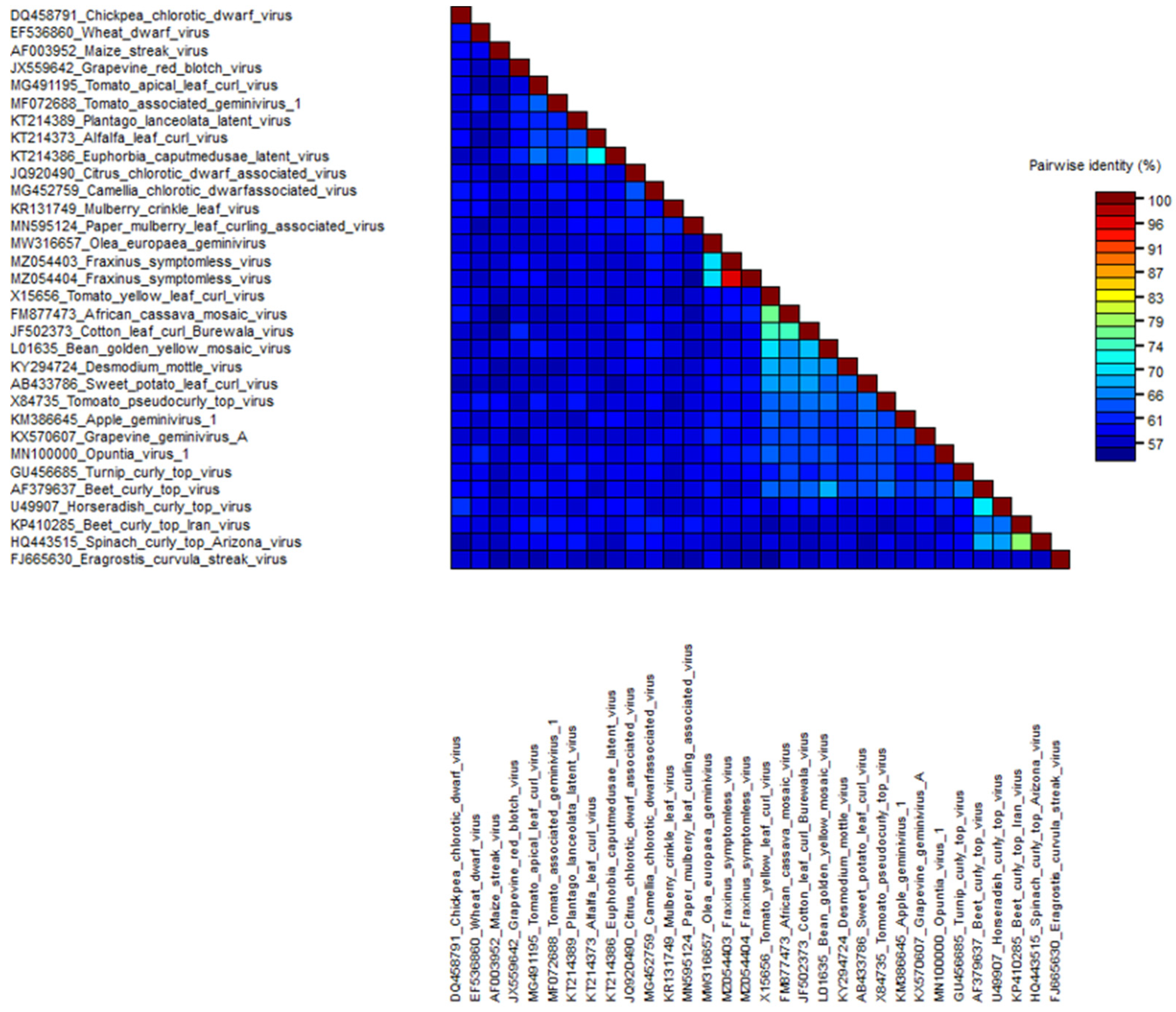 Viruses 13 02385 g005 Viruses 13 02385 g005