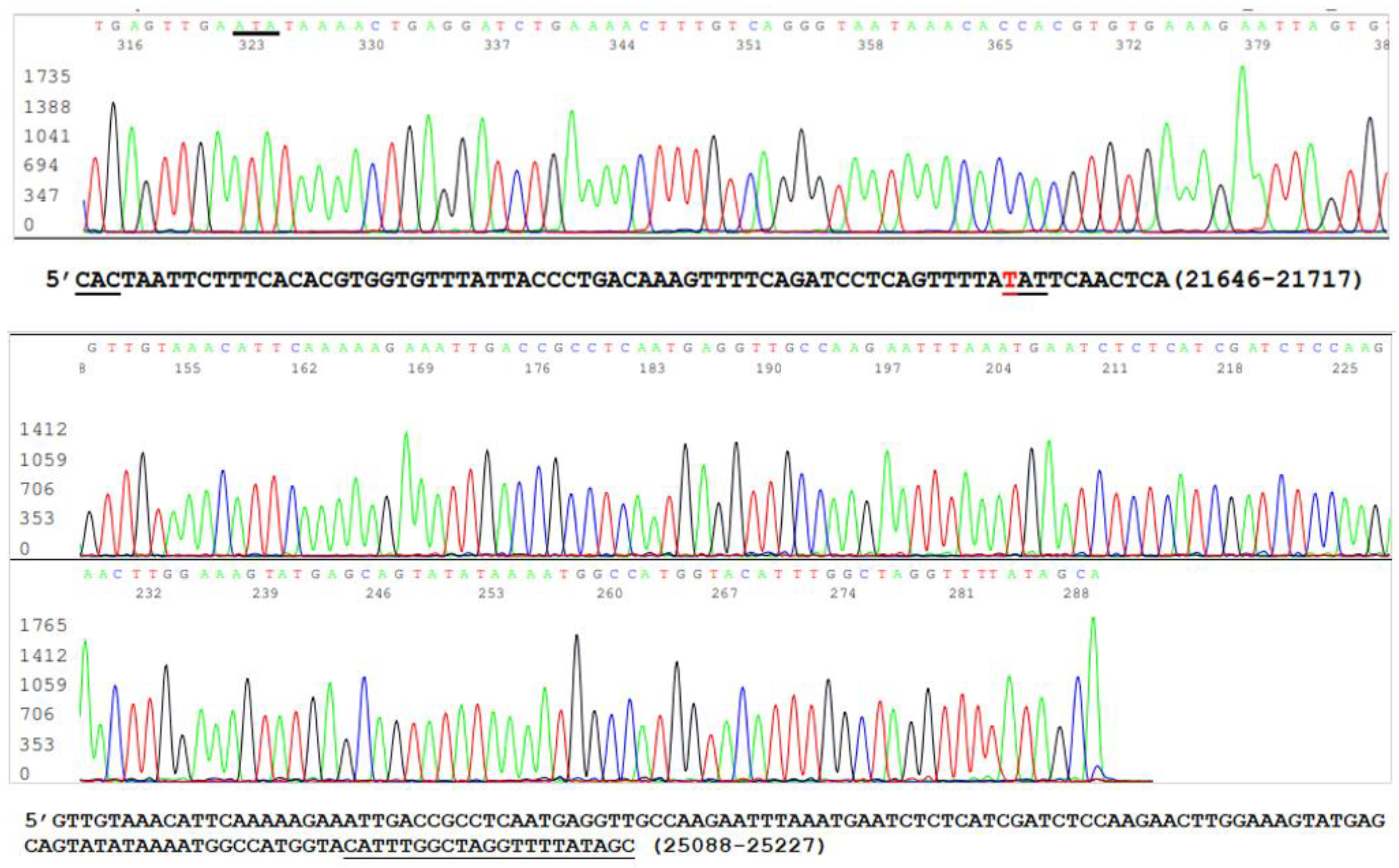 Viruses 13 02386 g004