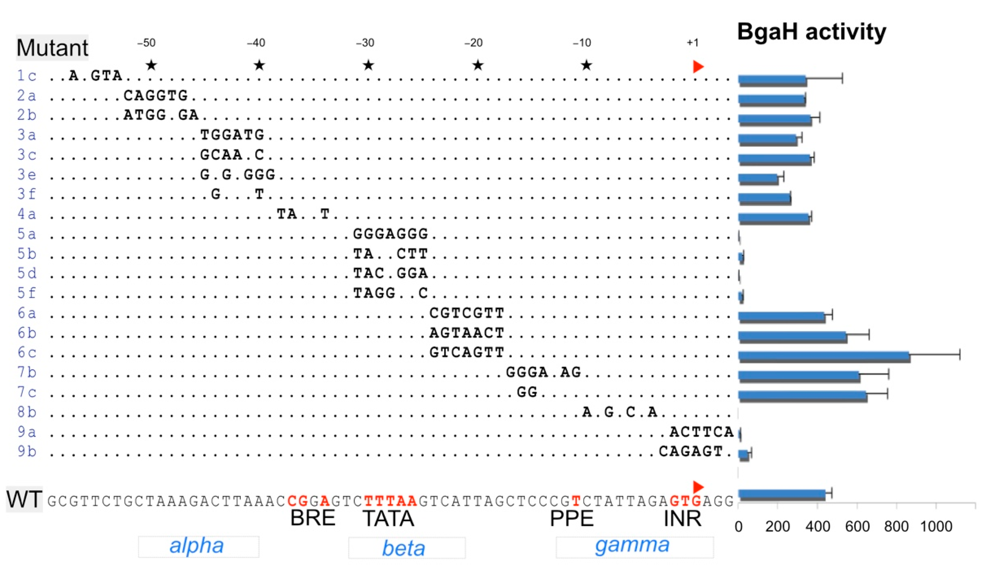 Viruses 13 02388 g002 550
