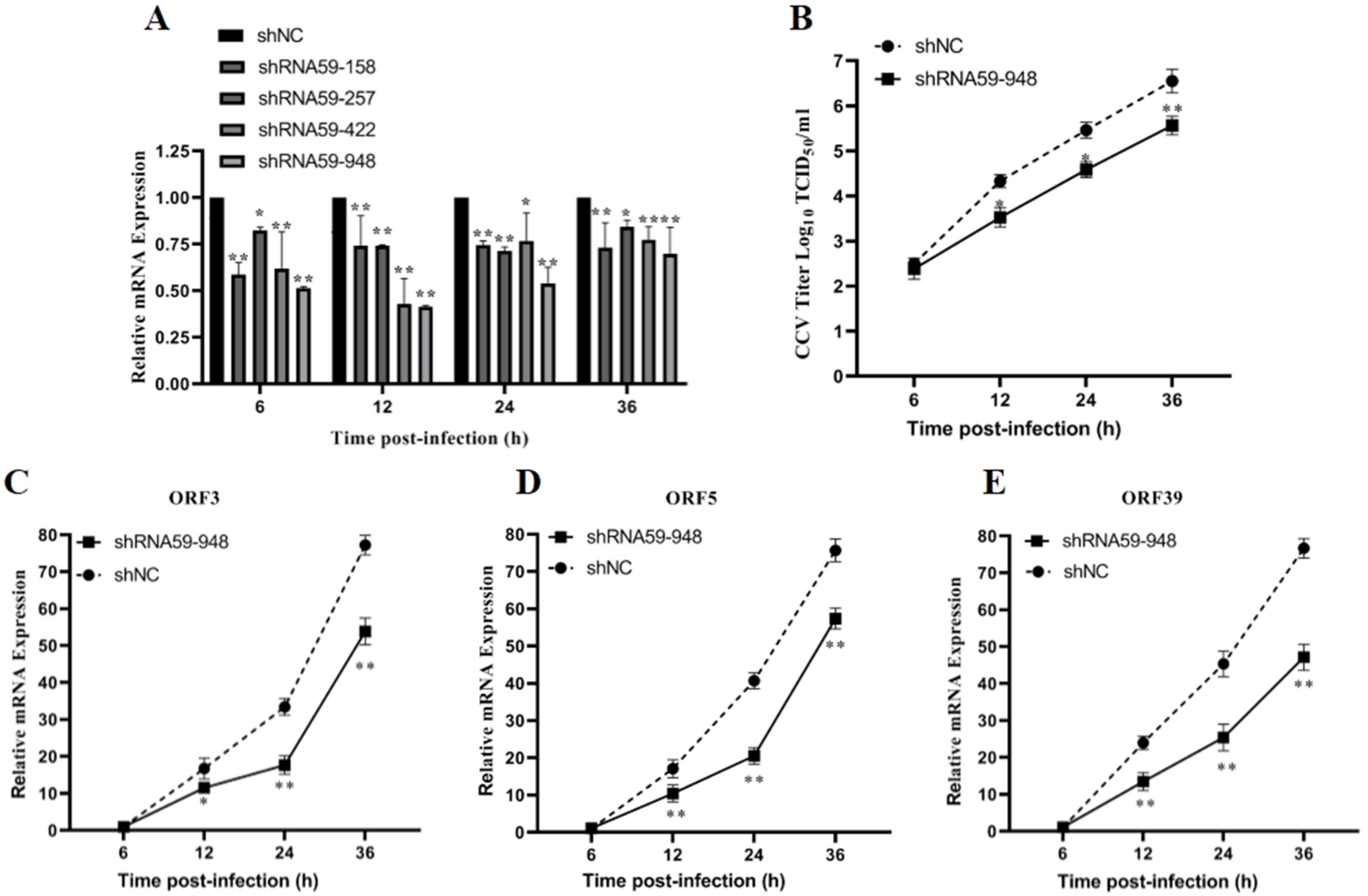 Viruses 13 02393 g005 Viruses 13 02393 g005