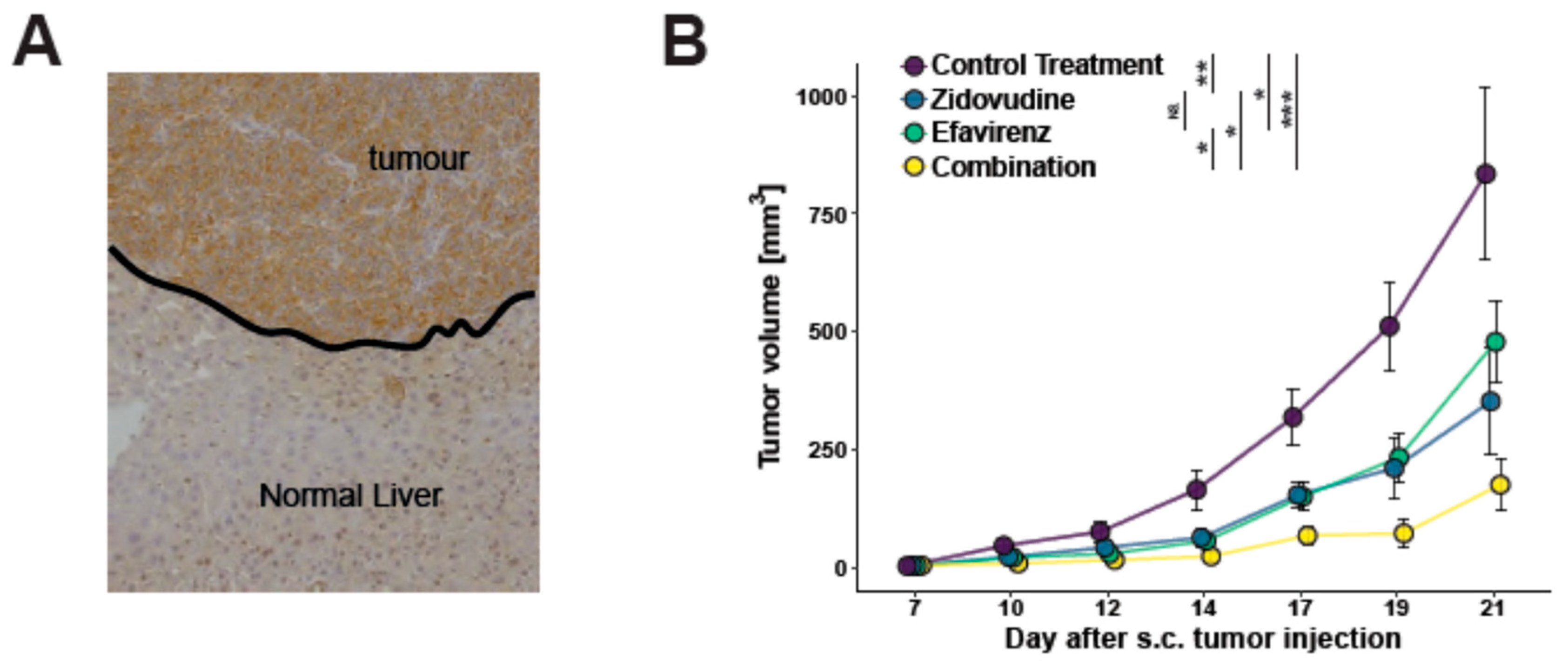 Viruses 13 02396 g004 Viruses 13 02396 g004