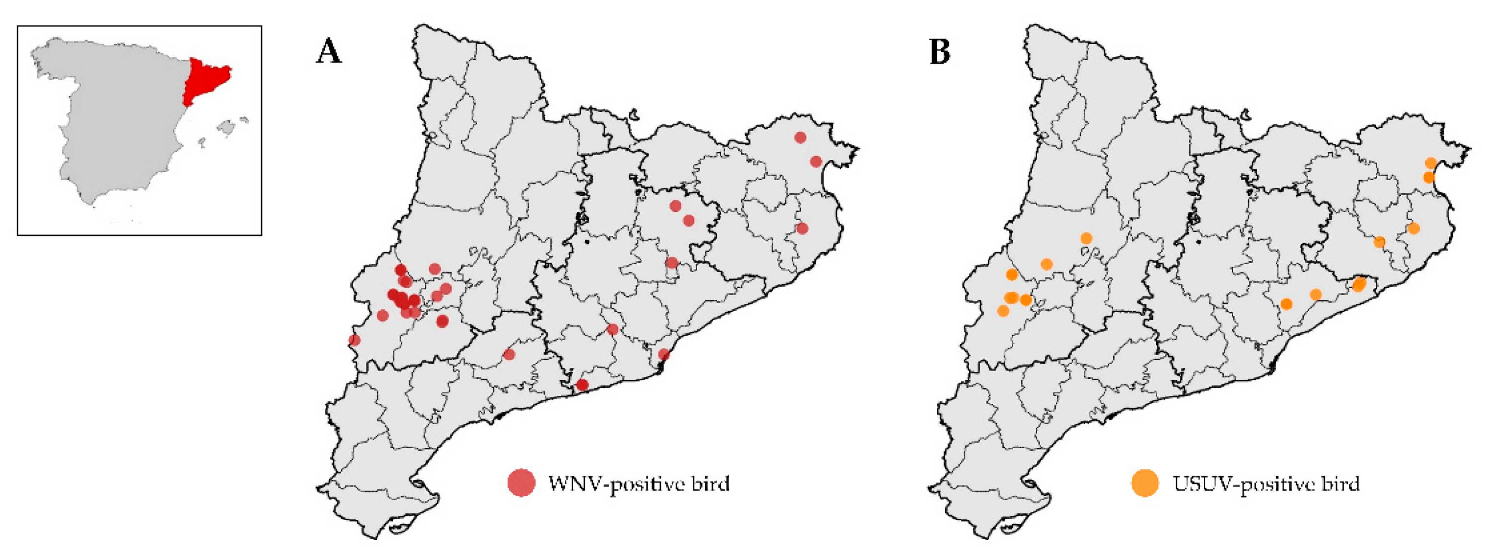 Viruses 13 02404 g001