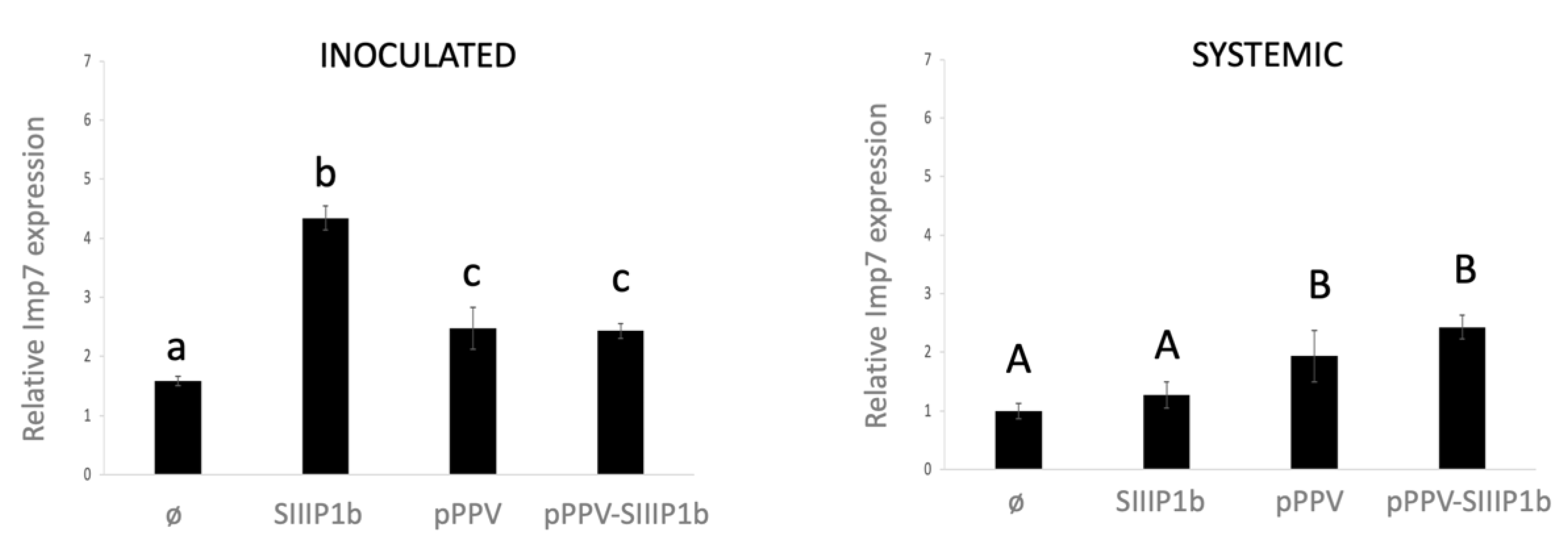 Viruses 13 02406 g003 550