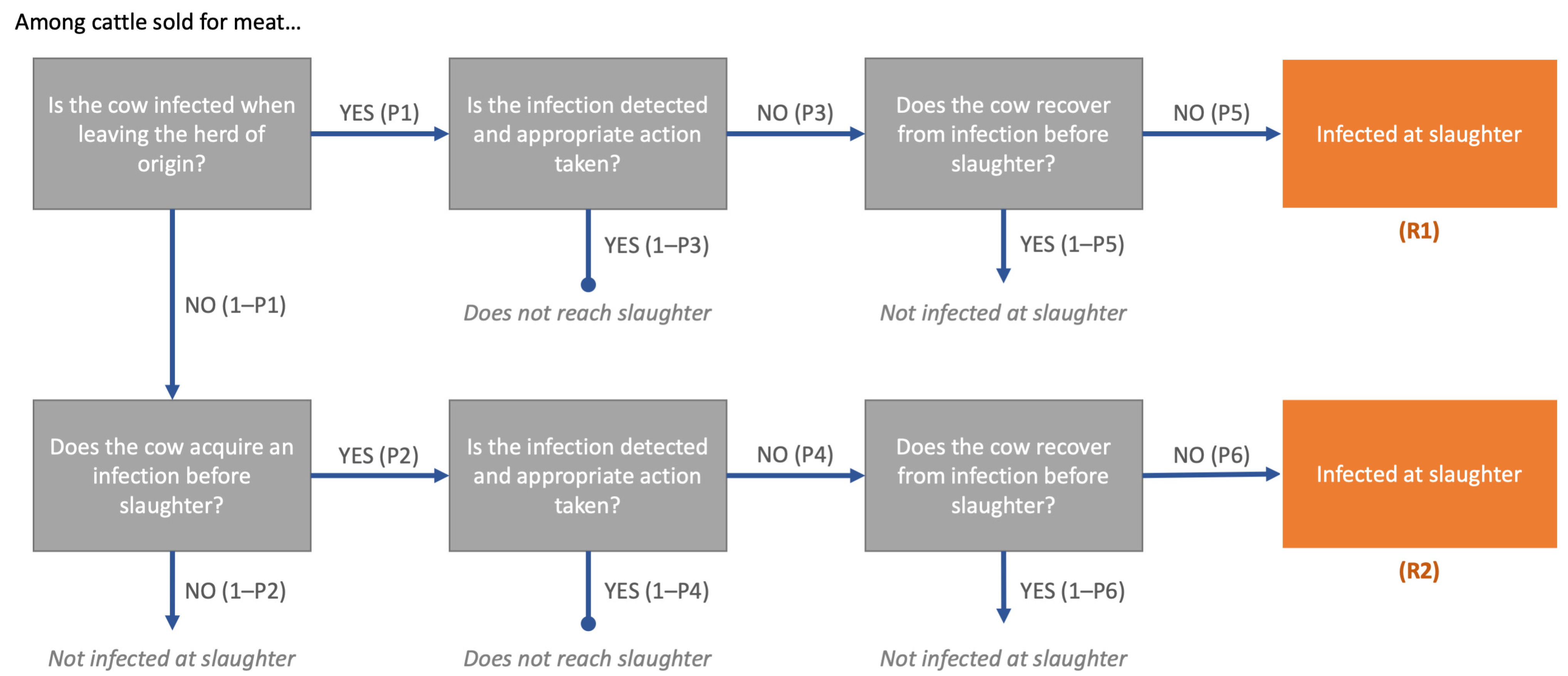 Viruses 13 02407 g001 Viruses 13 02407 g001