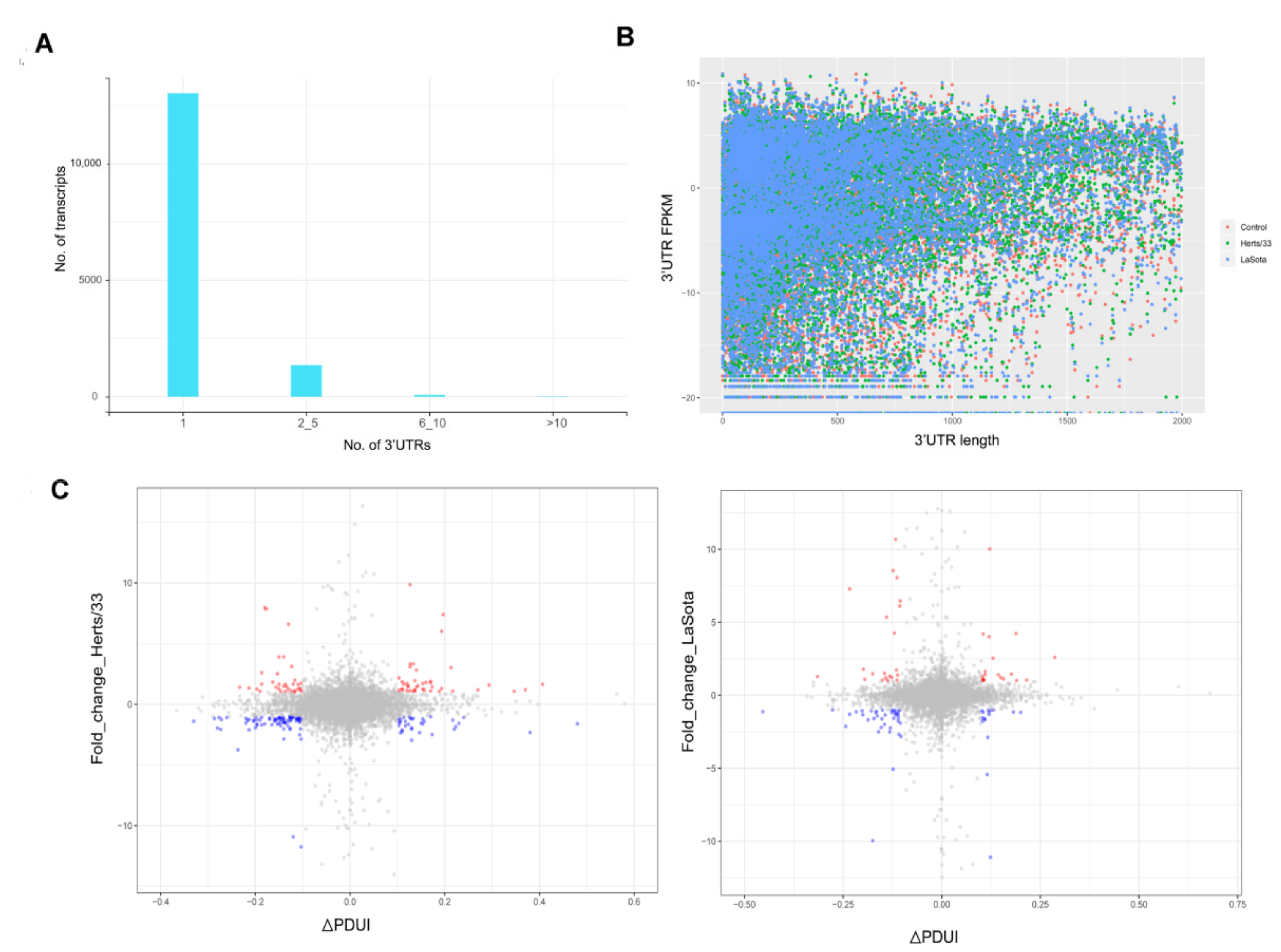 Viruses 13 02409 g005 550