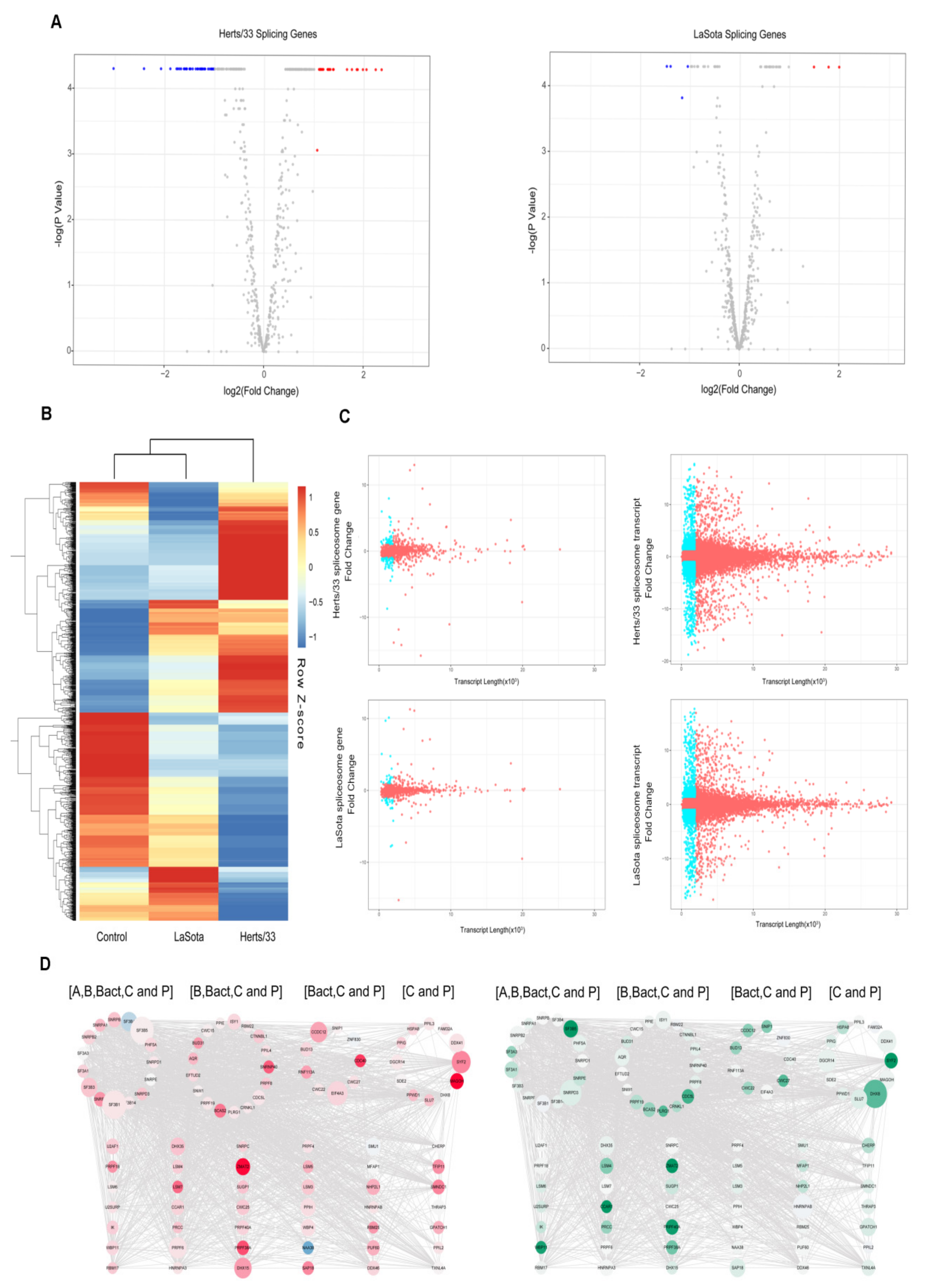 Viruses 13 02409 g006 550