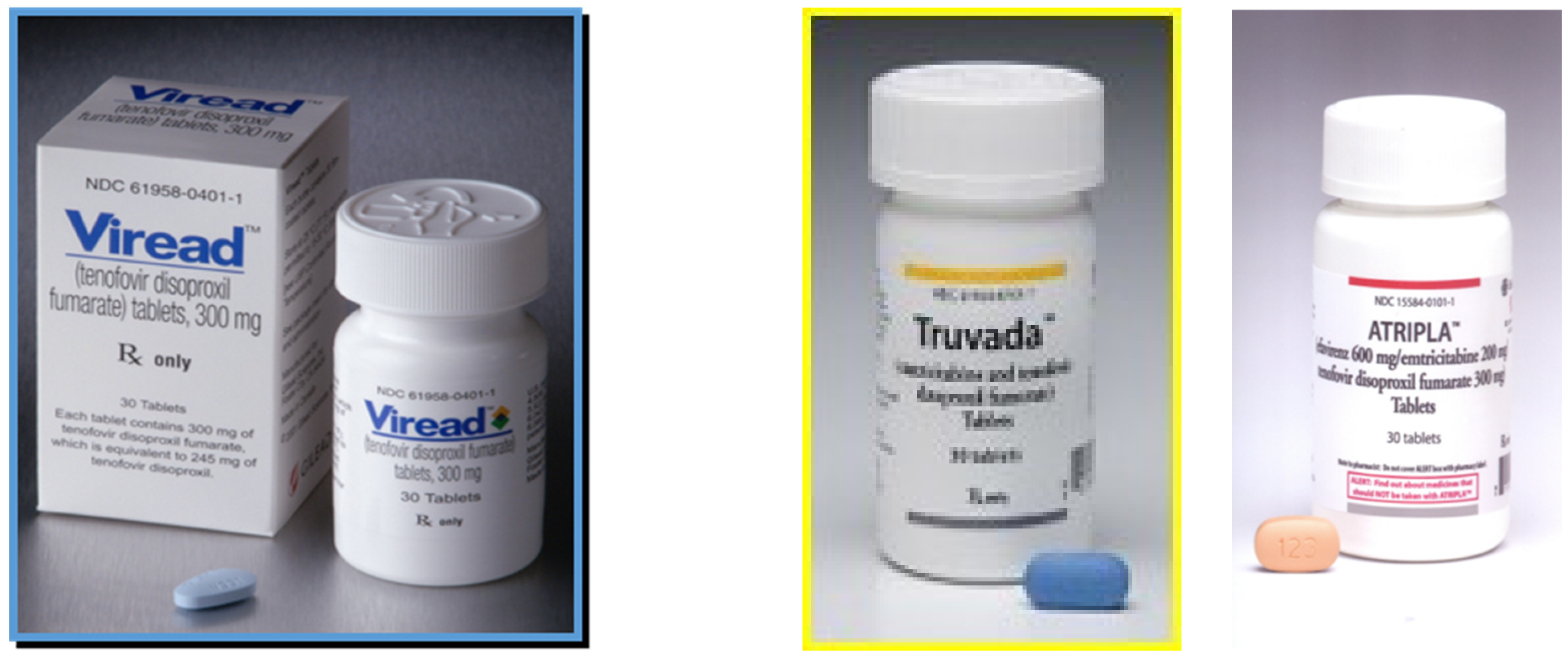 Viruses 13 02410 g004a Viruses 13 02410 g004a