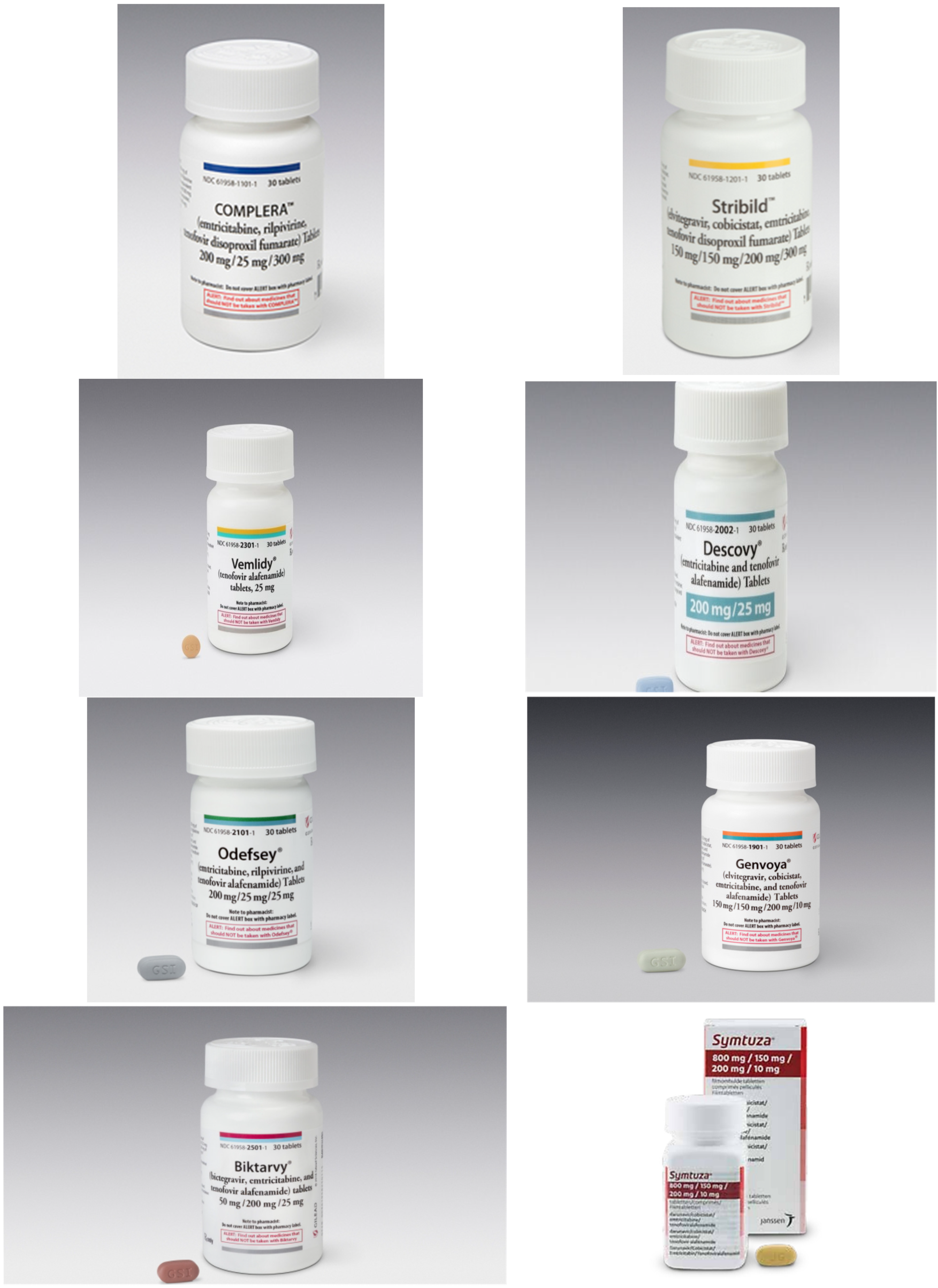 Viruses 13 02410 g004b Viruses 13 02410 g004b