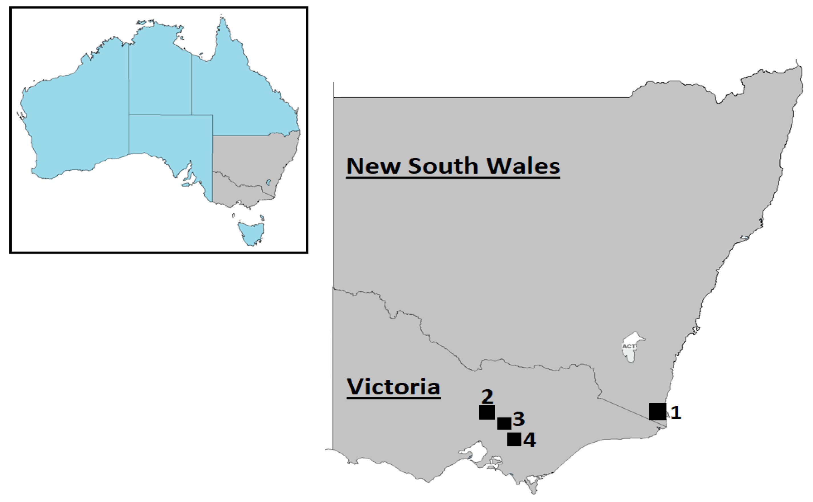 Viruses 13 02412 g001 550