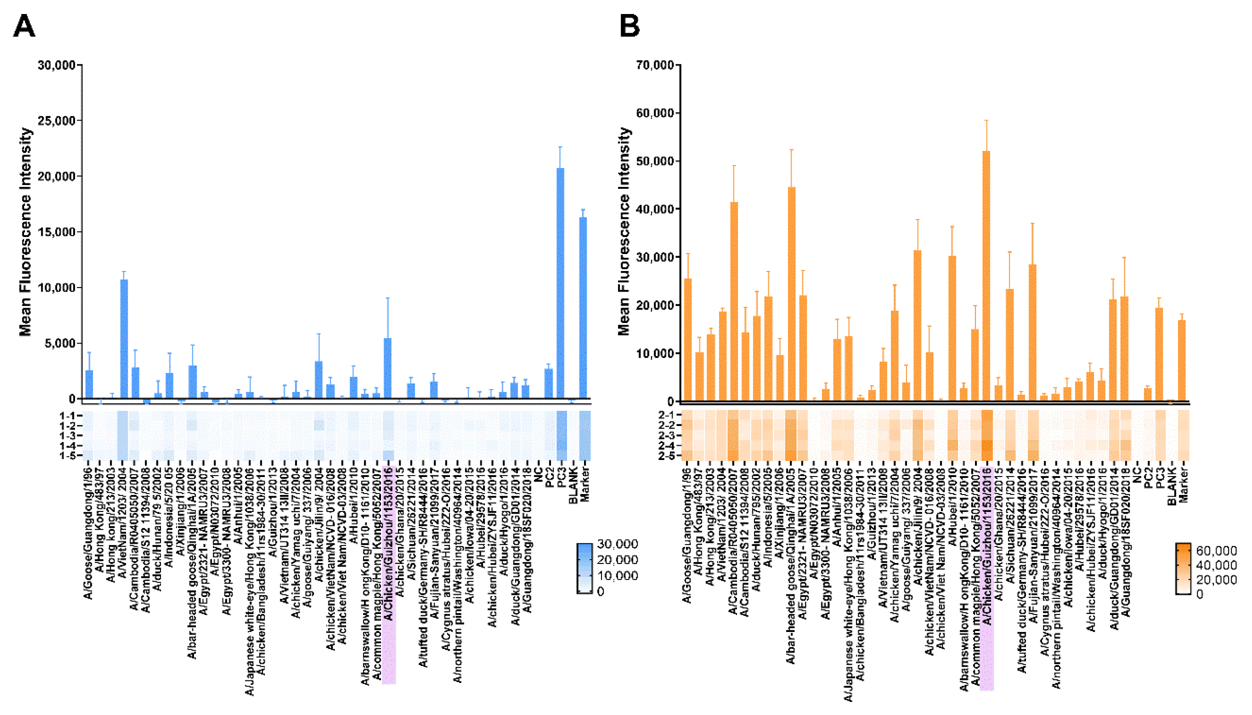 Viruses 13 02420 g005 Viruses 13 02420 g005