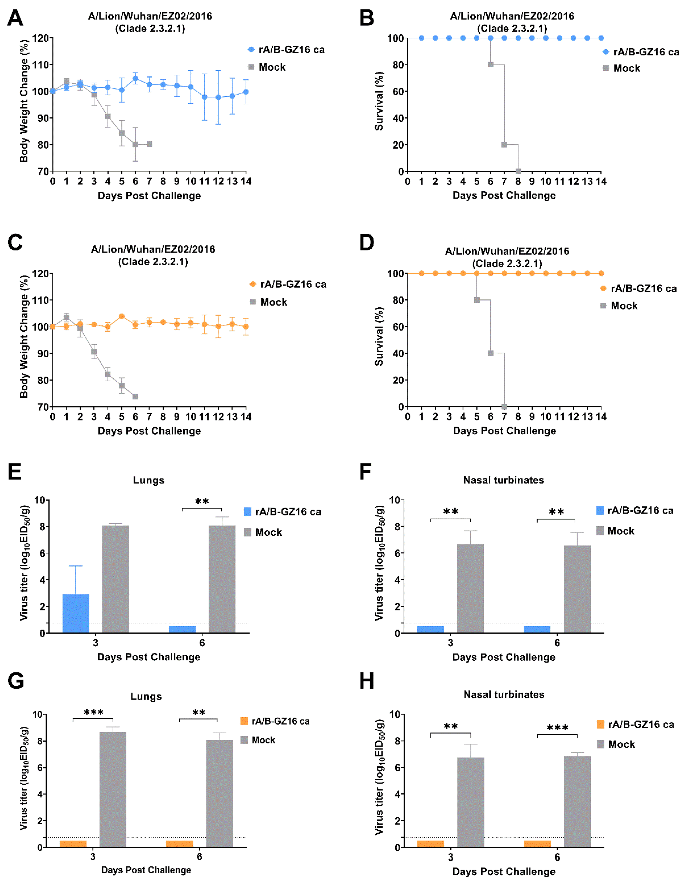 Viruses 13 02420 g008 Viruses 13 02420 g008