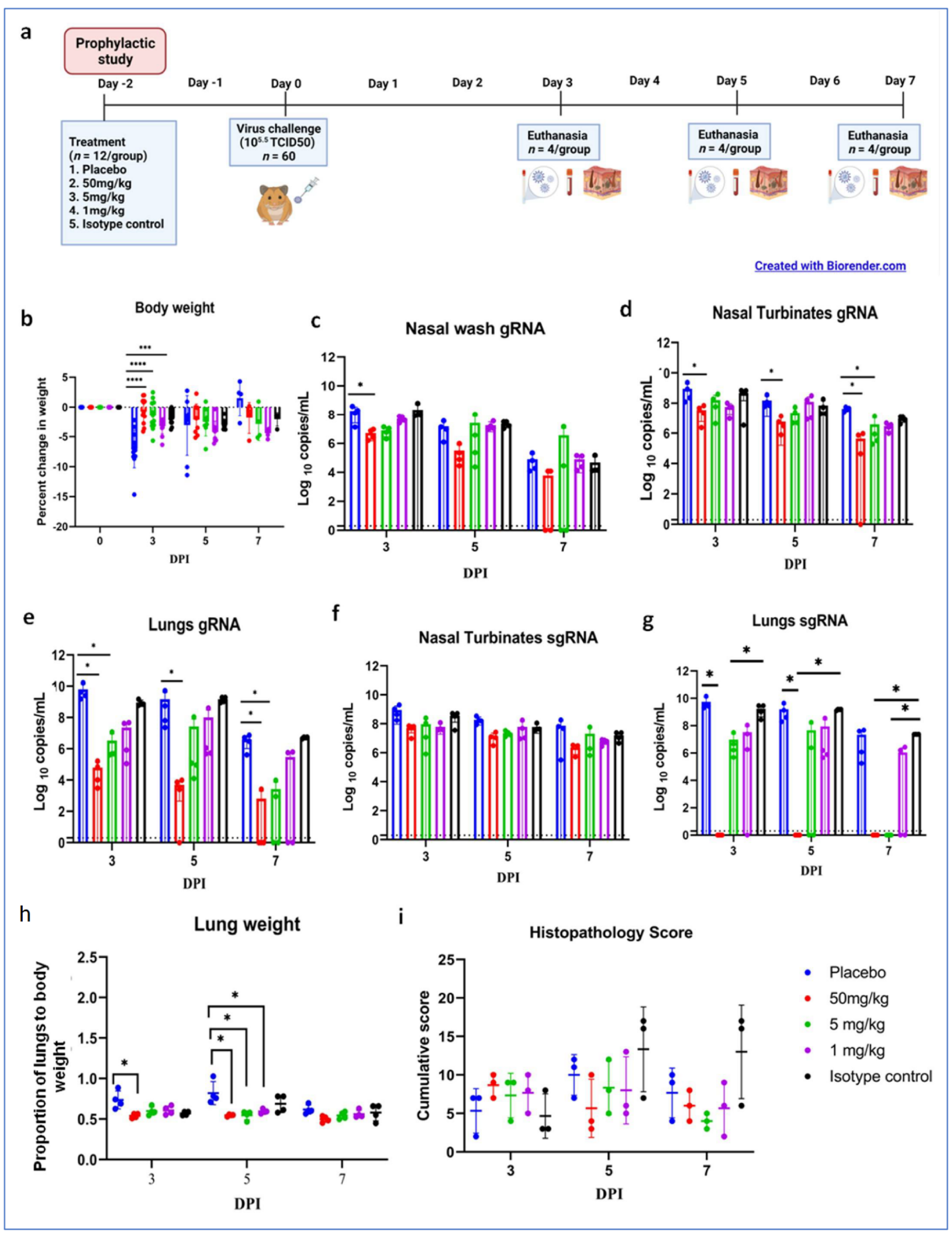 Viruses 13 02424 g004 550