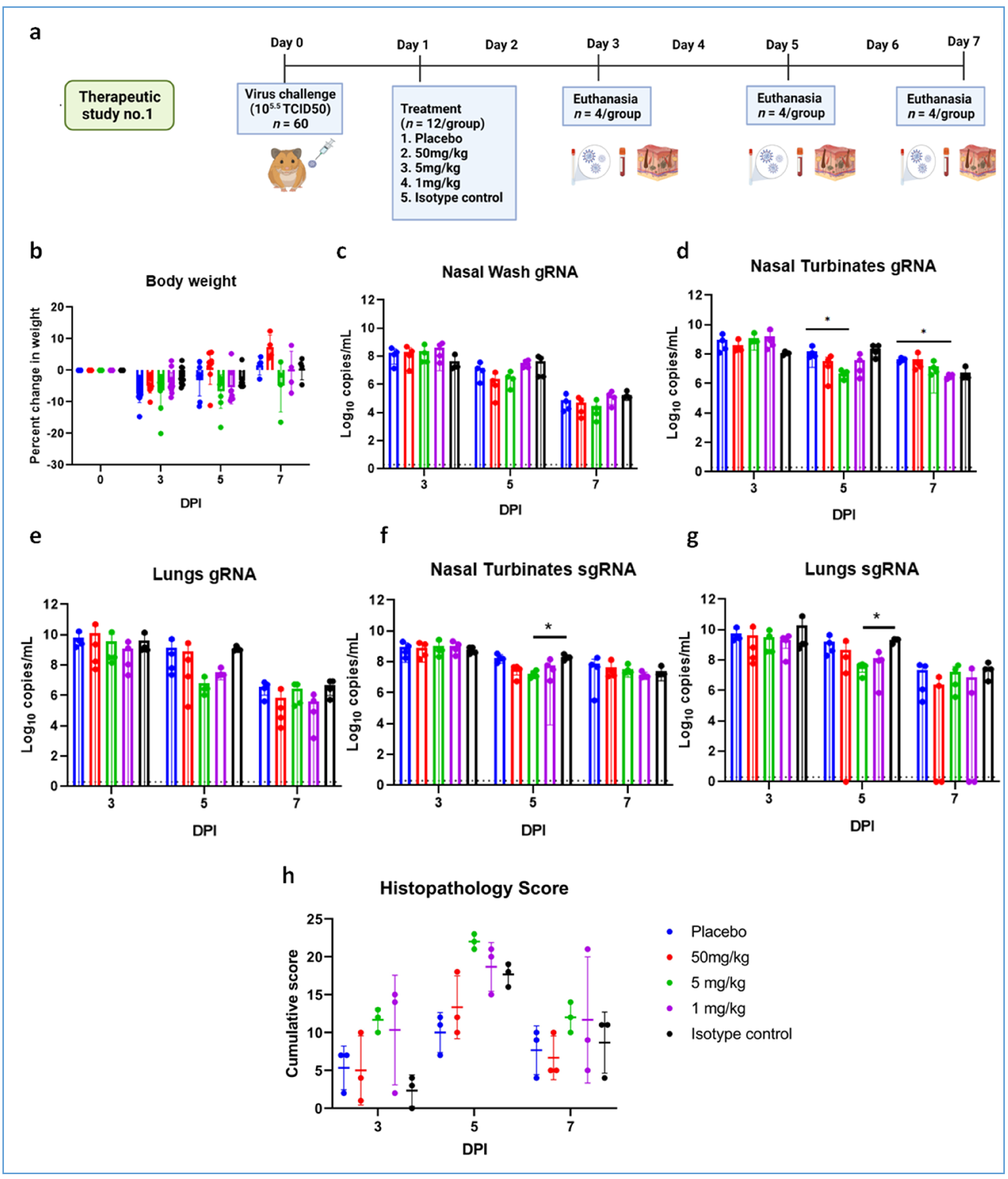 Viruses 13 02424 g006 550