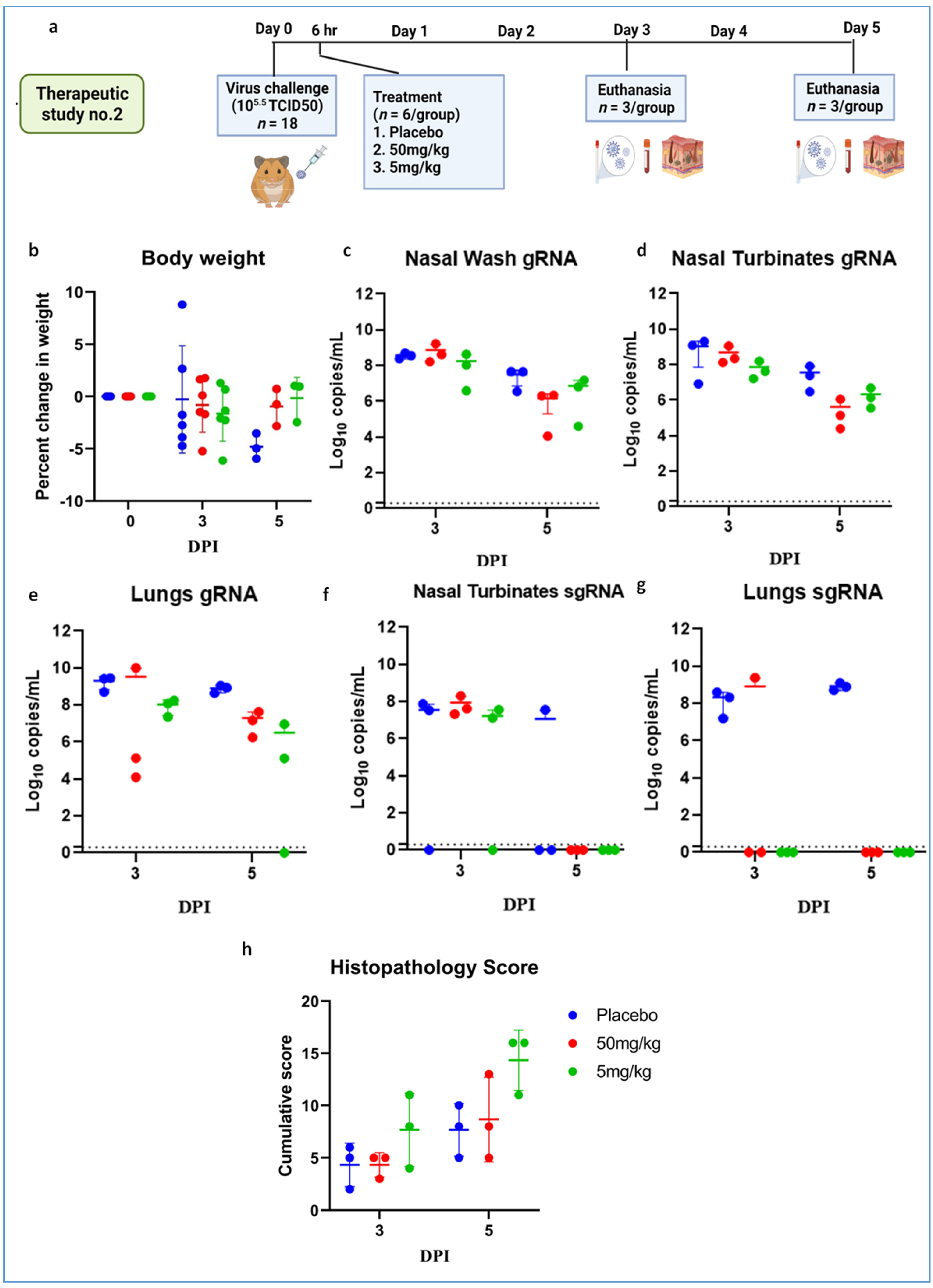 Viruses 13 02424 g007 550