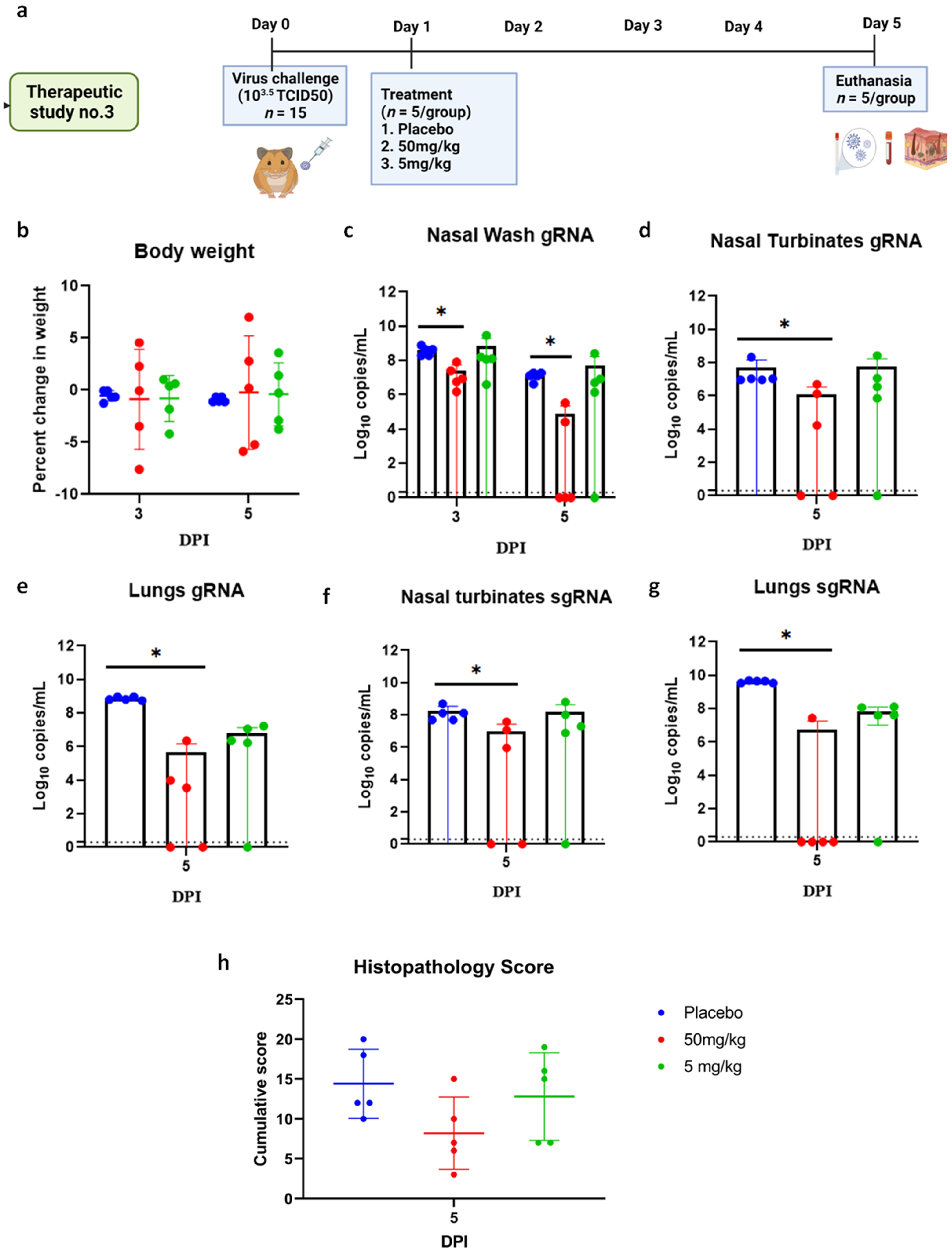 Viruses 13 02424 g008 550