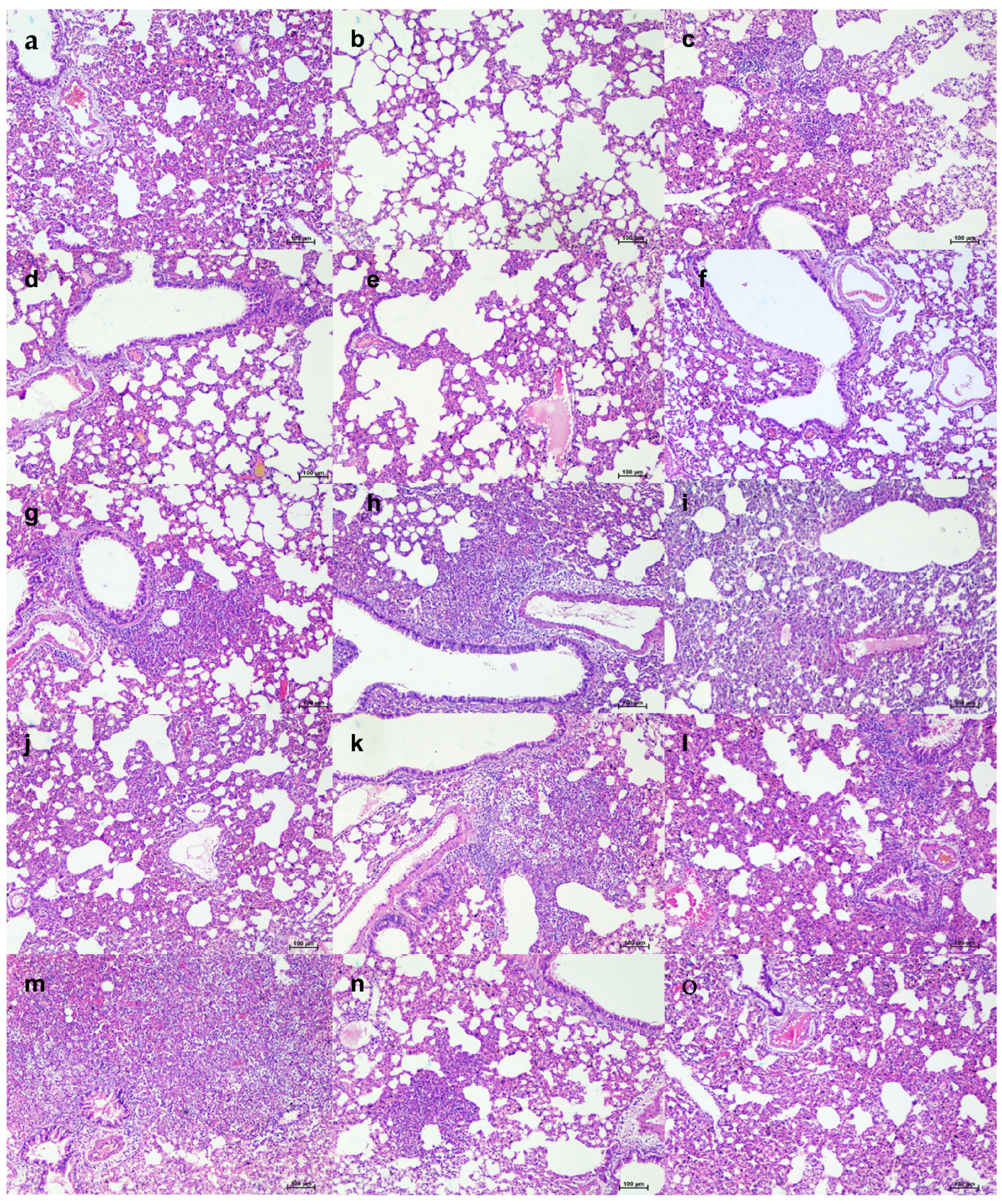 Viruses 13 02424 g009 550