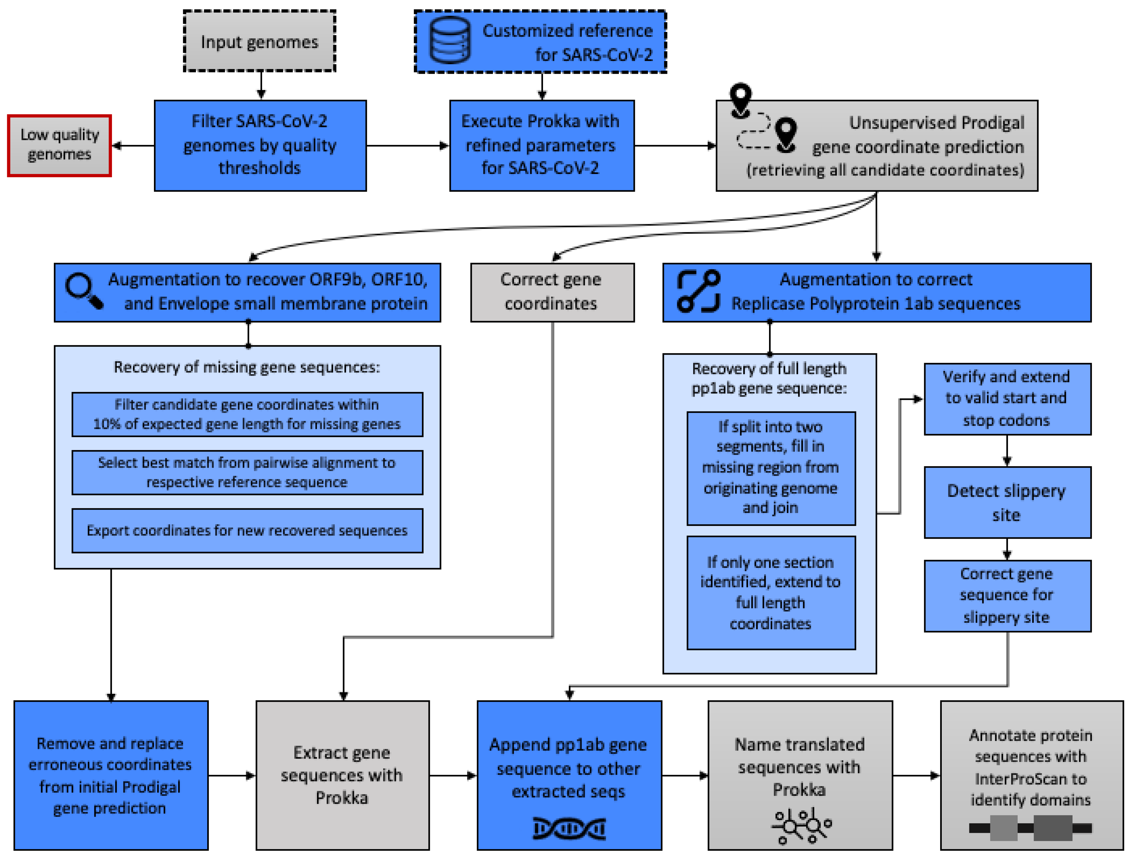 Viruses 13 02426 g001 550