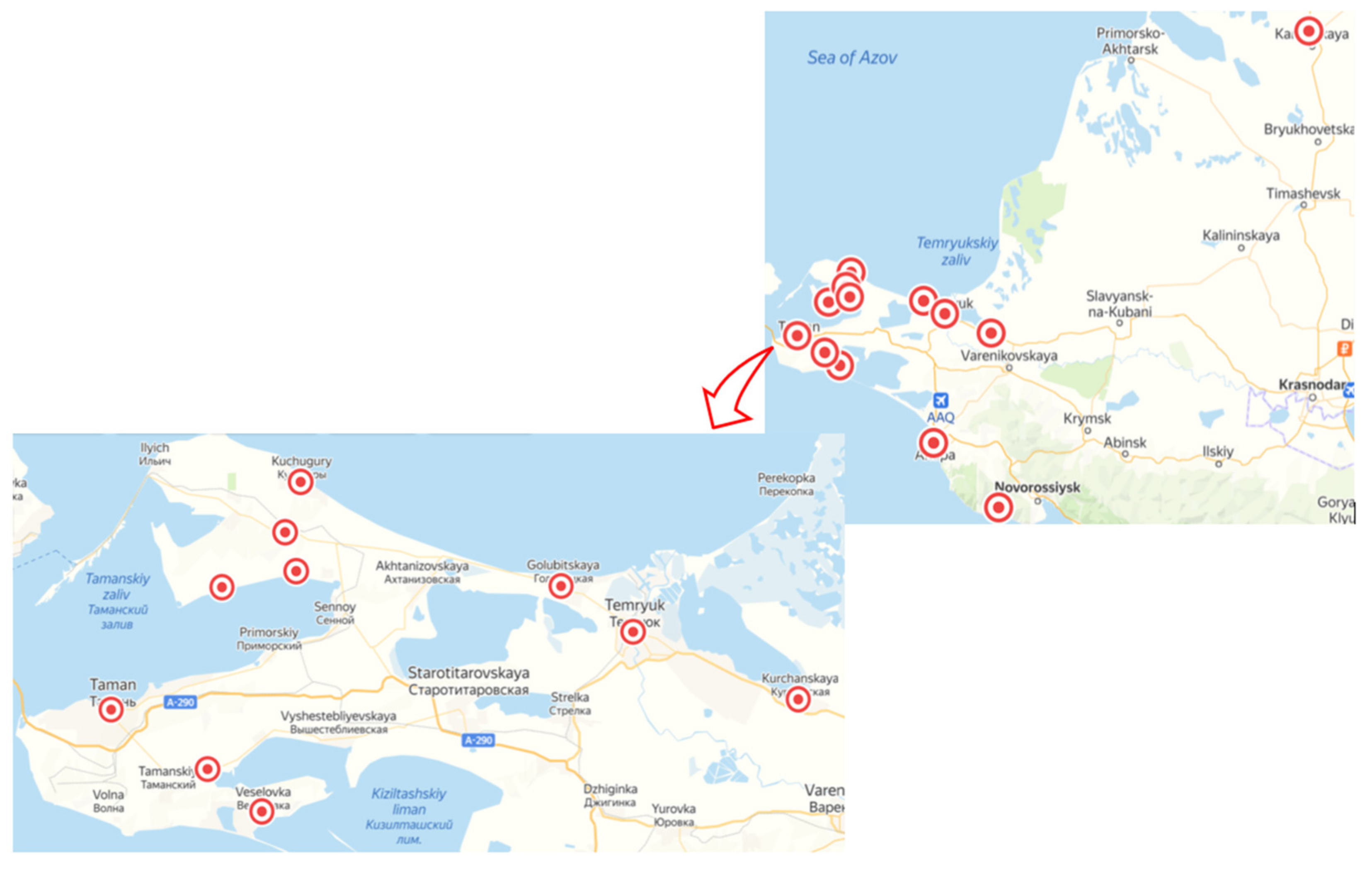 Viruses 13 02432 g002