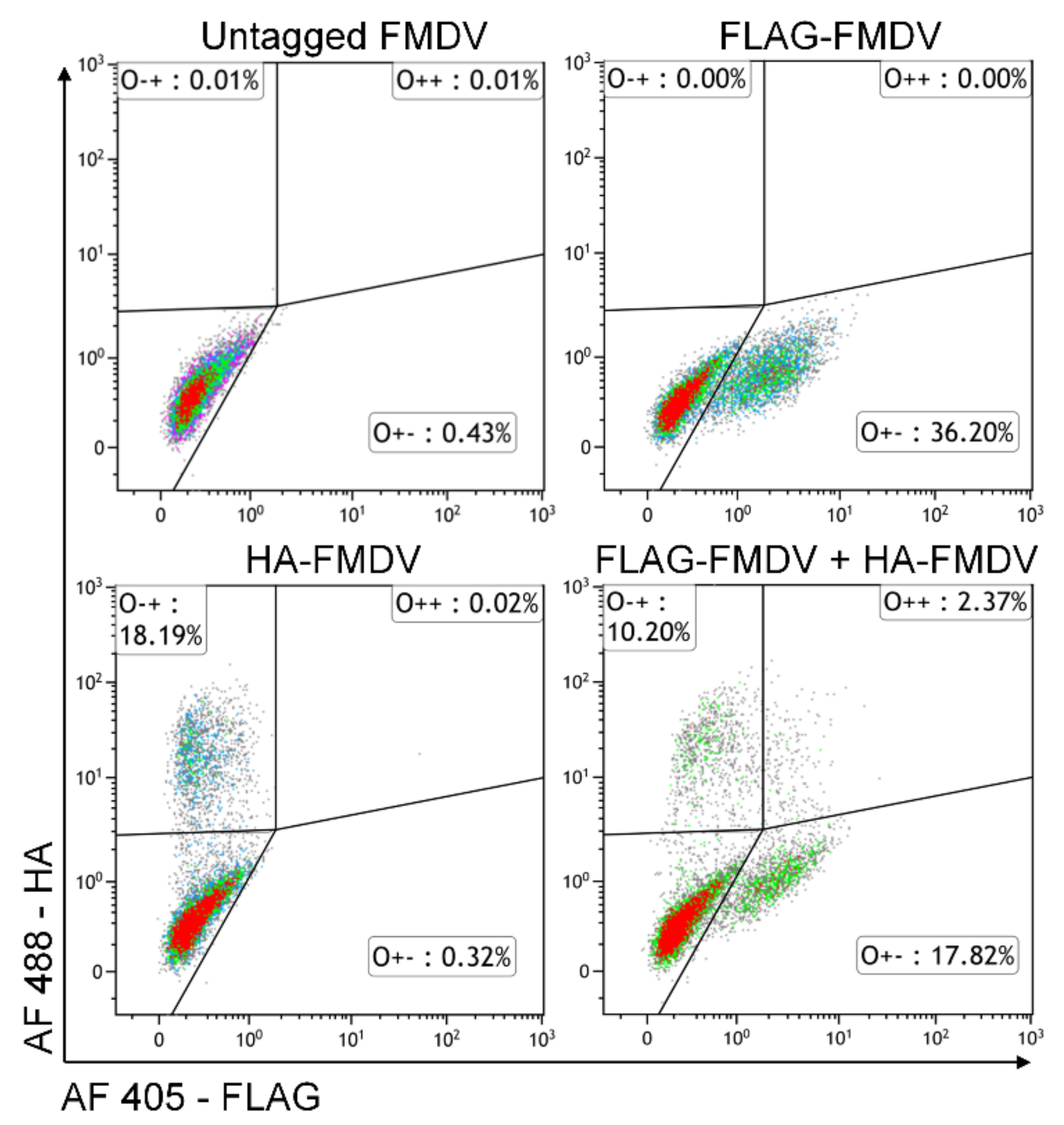 Viruses 13 02433 g002 Viruses 13 02433 g002