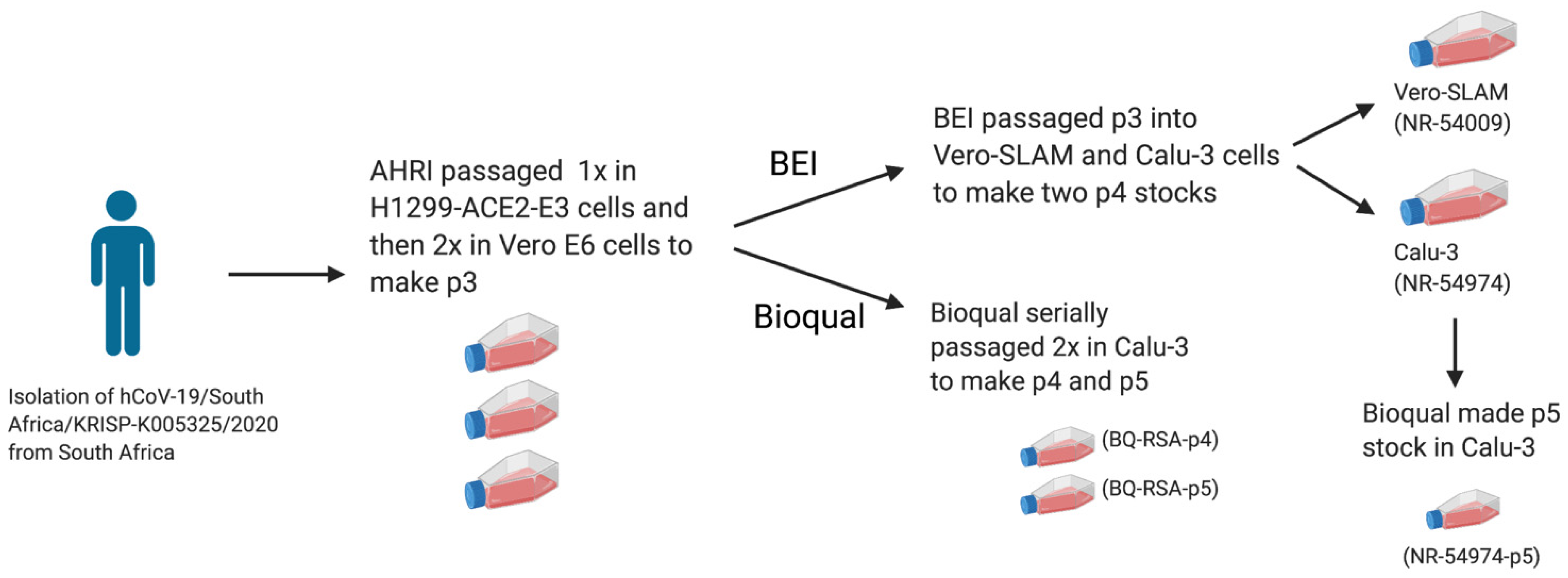 geneious tutorial point mutation study bam file geneious tutorial point mutation study bam file