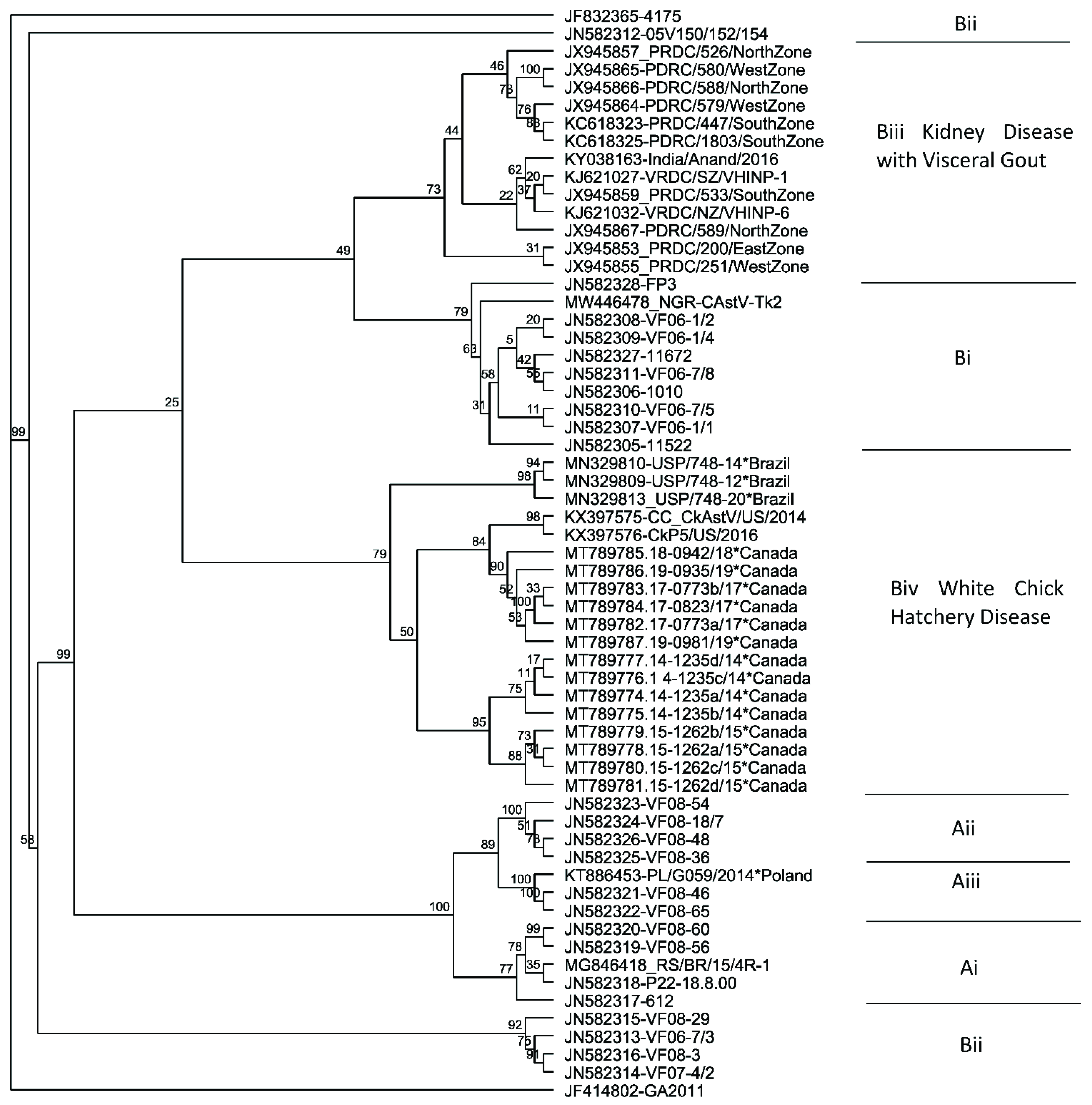 Viruses 13 02435 g002