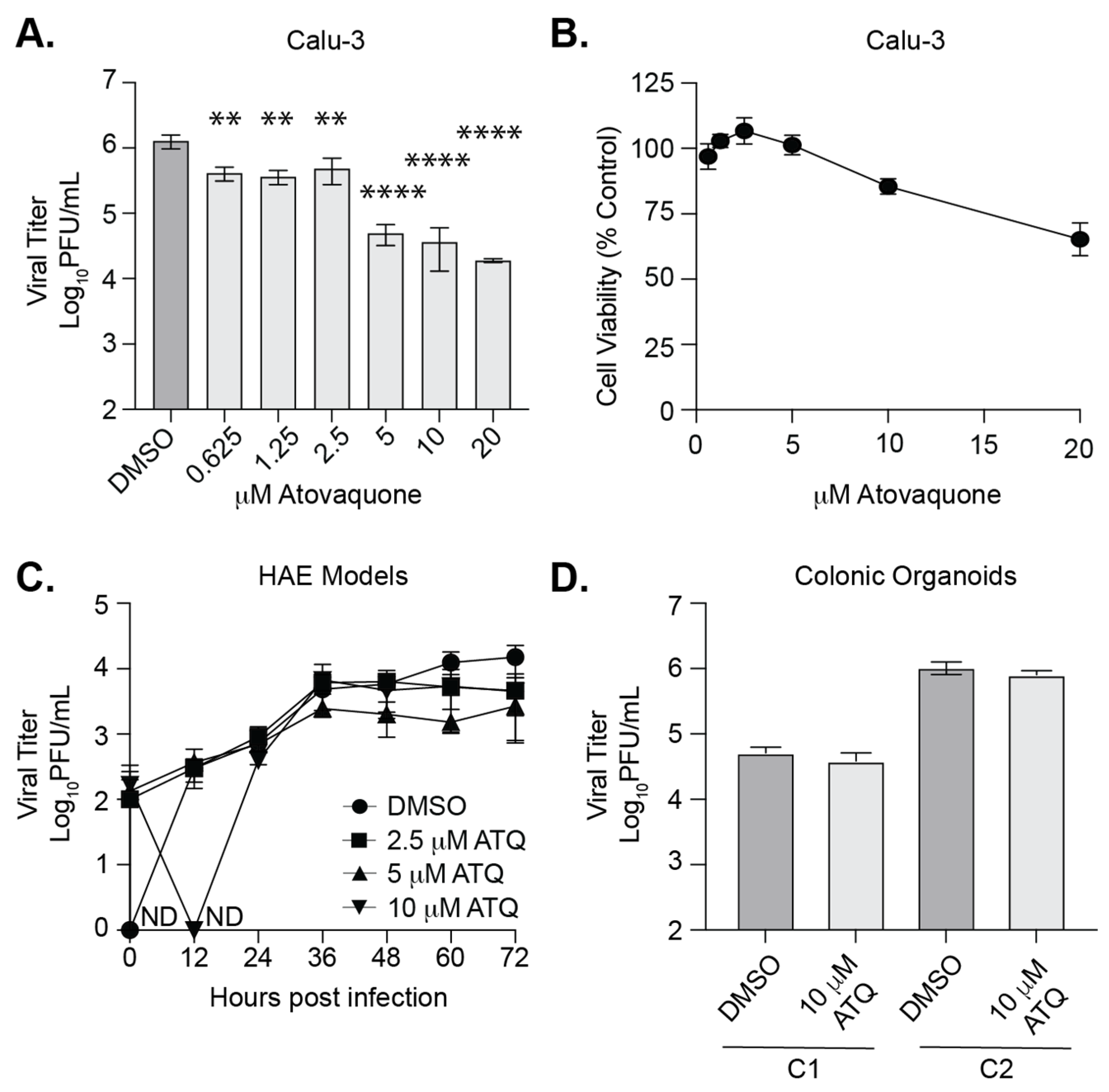 Viruses 13 02437 g004 550