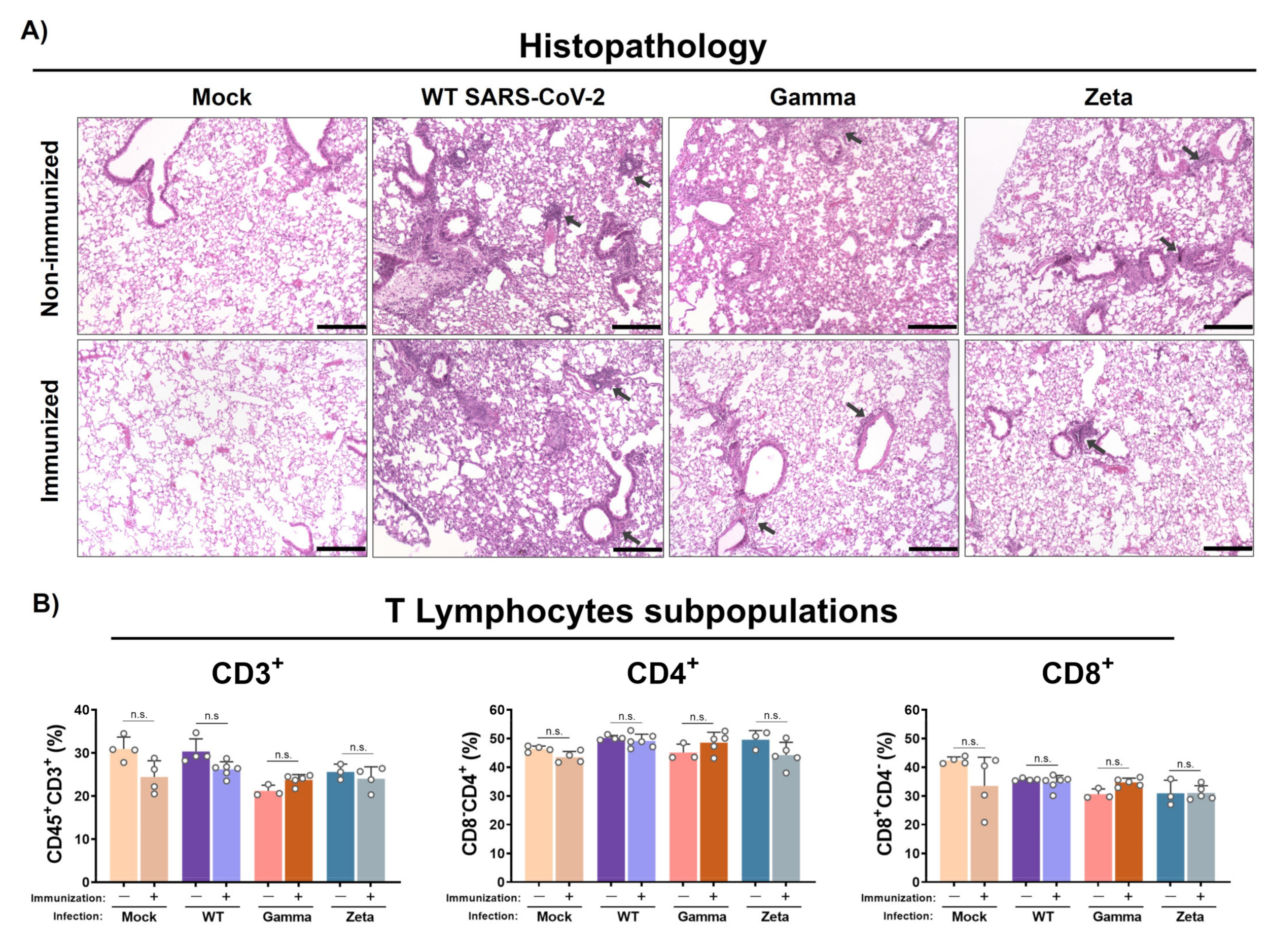 Viruses 13 02440 g005