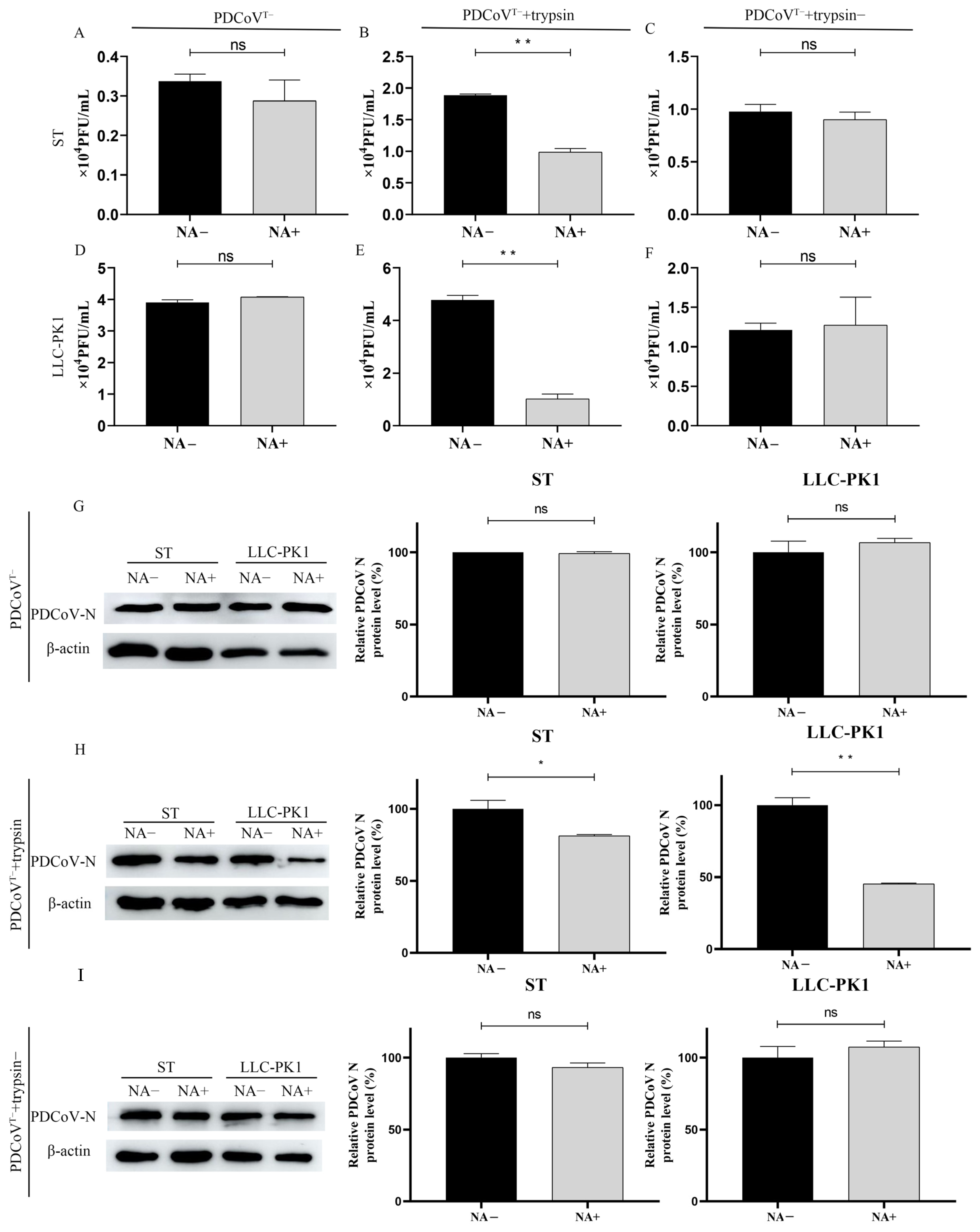 Viruses 13 02442 g006 Viruses 13 02442 g006