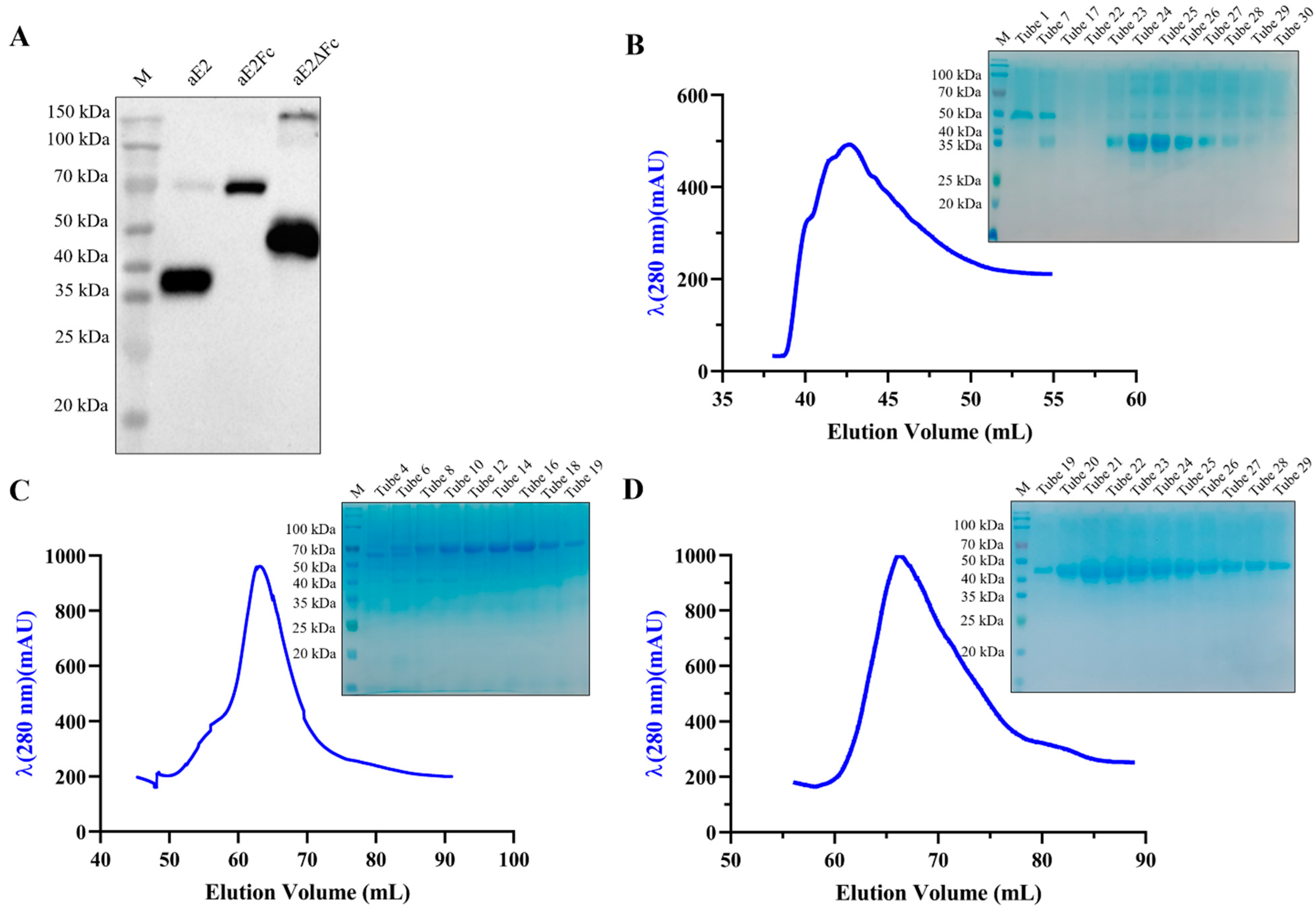 Viruses 13 02443 g002