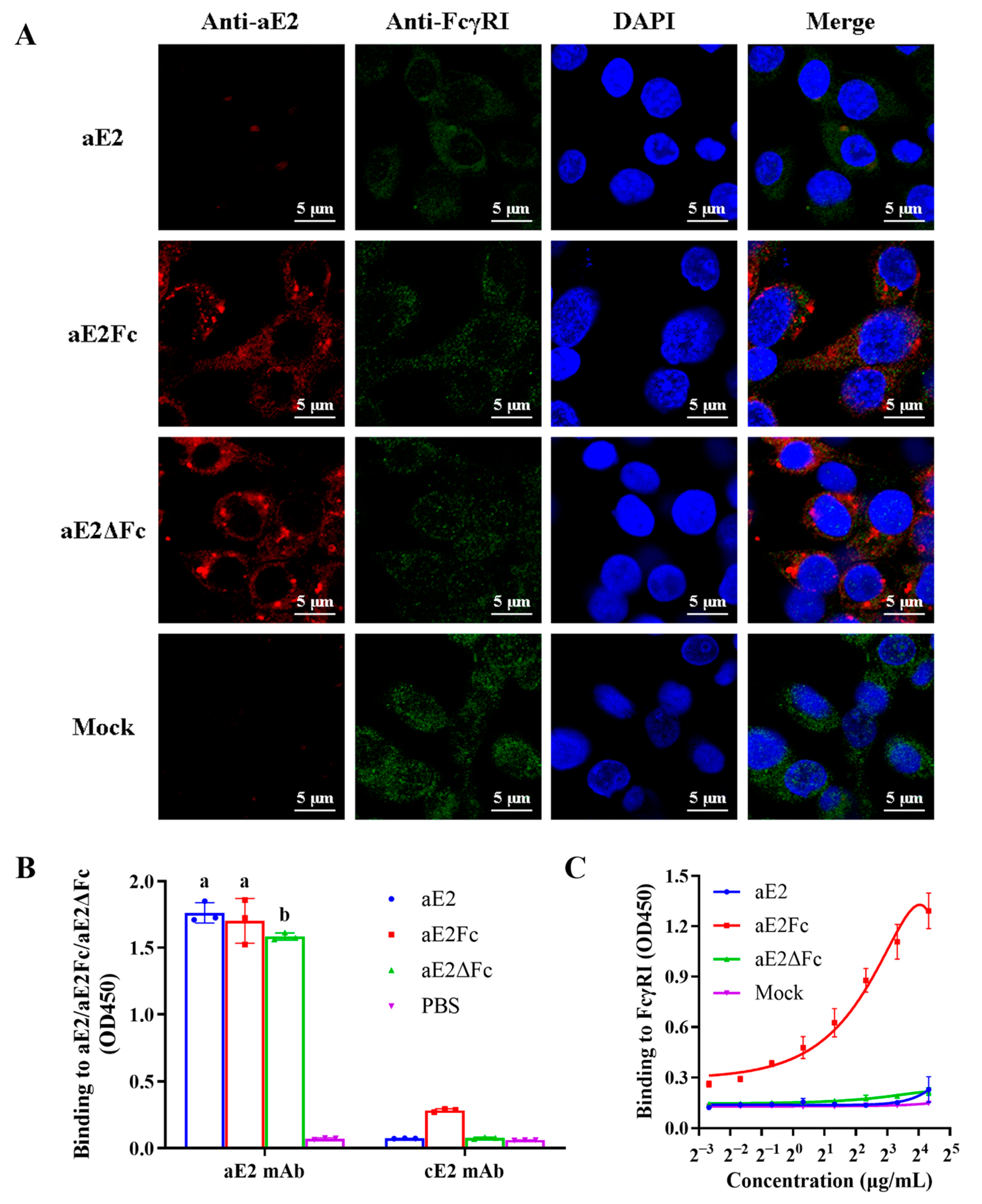 Viruses 13 02443 g004