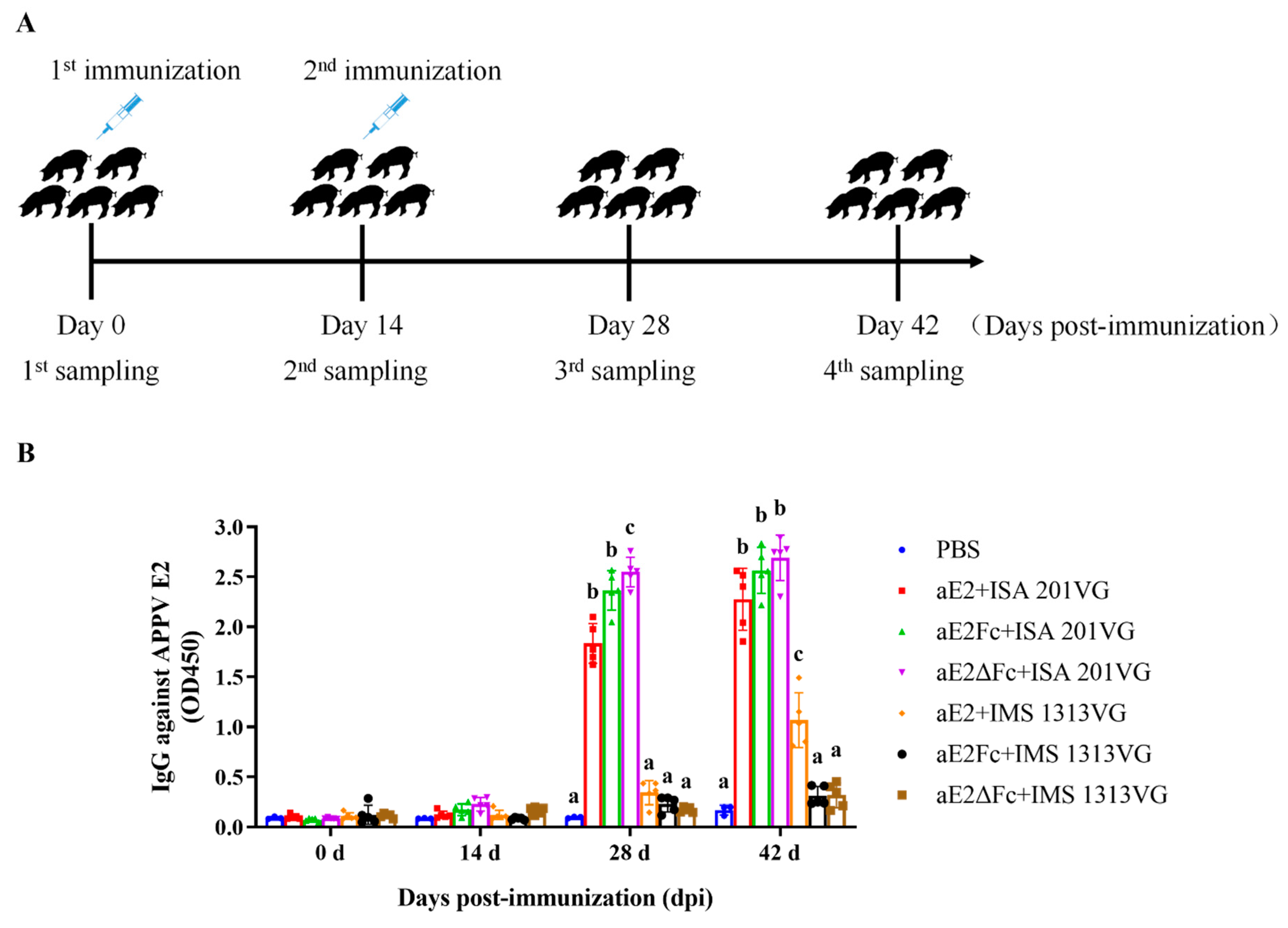 Viruses 13 02443 g005