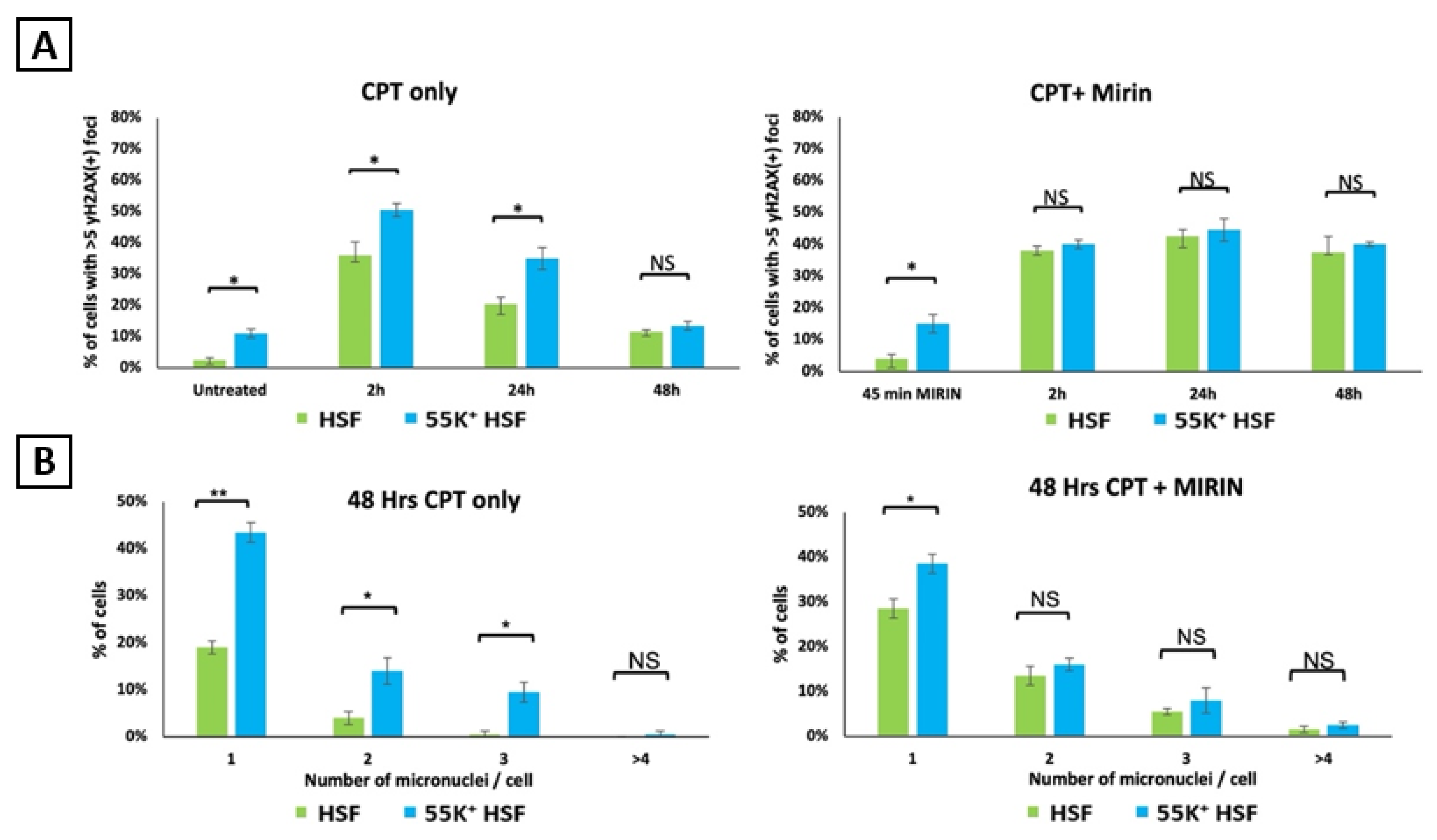 Viruses 13 02444 g008 Viruses 13 02444 g008