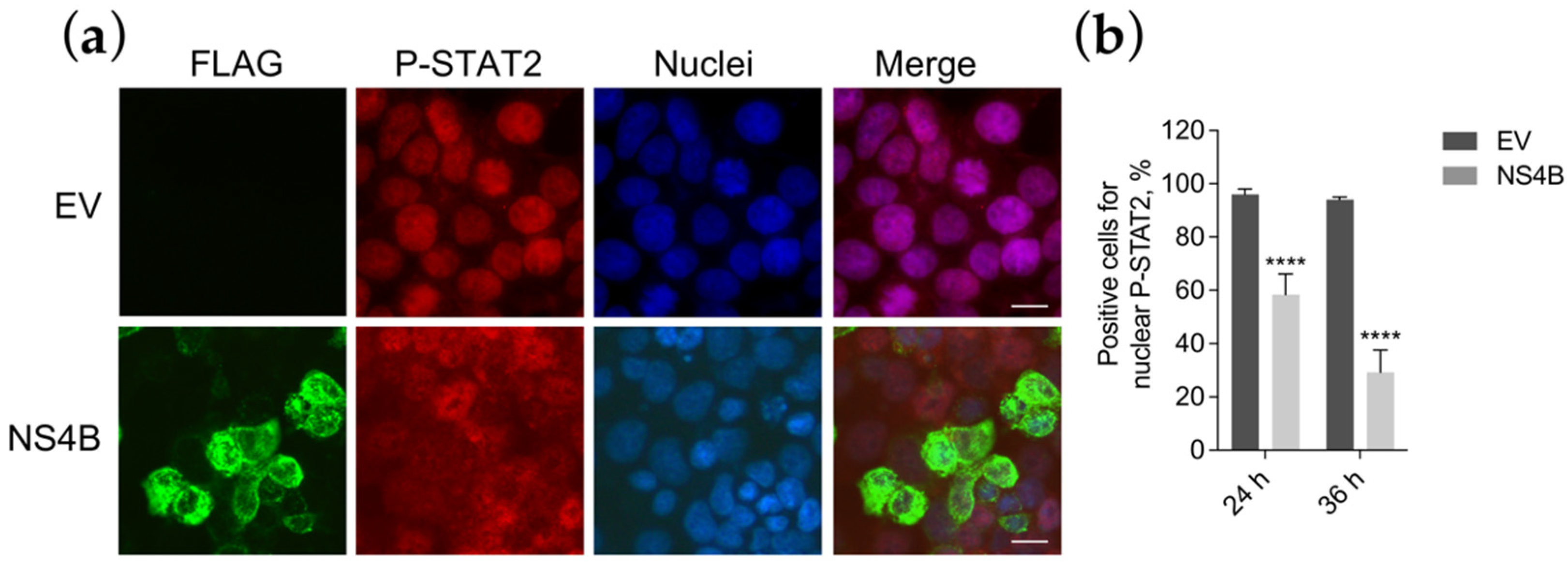 Viruses 13 02448 g005 Viruses 13 02448 g005