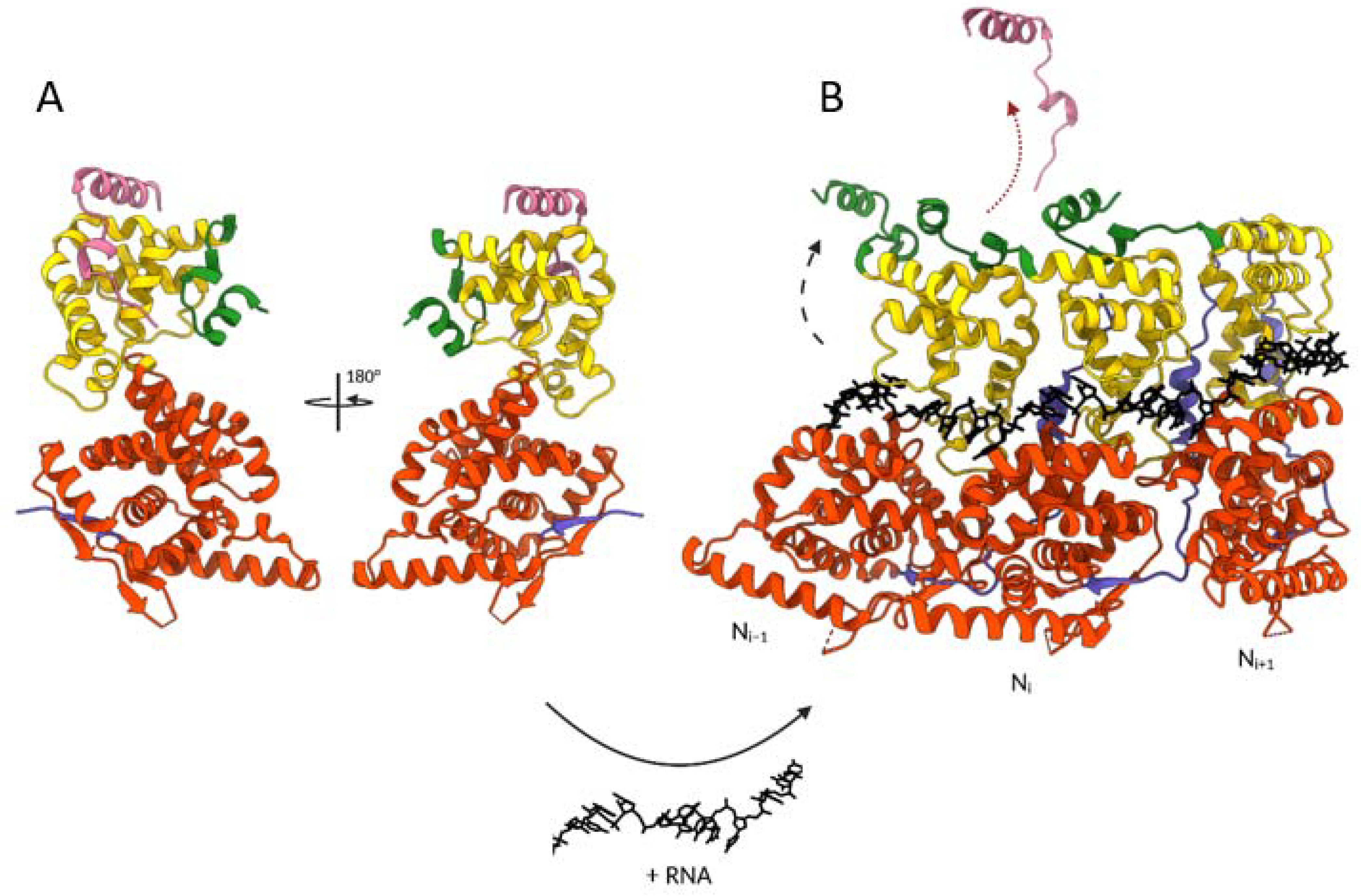 Viruses 13 02449 g007