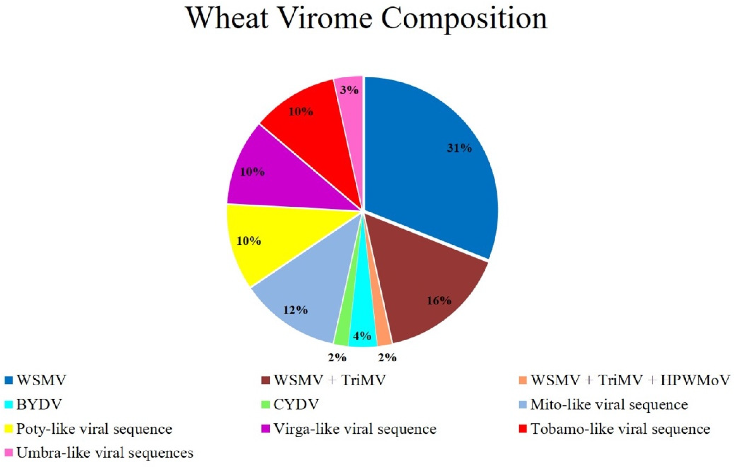 Viruses 13 02457 g001